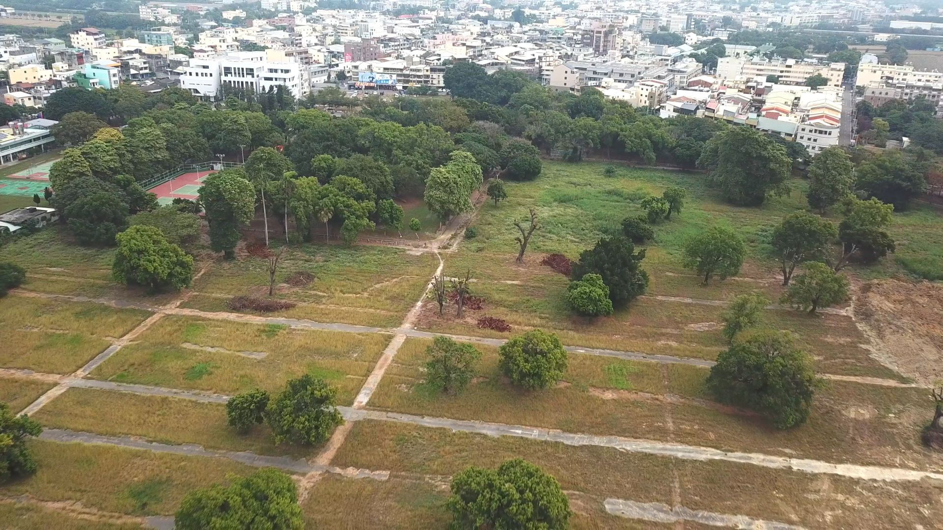 溪州老樹群的未來｜彰化溪州糖廠興衰的見證