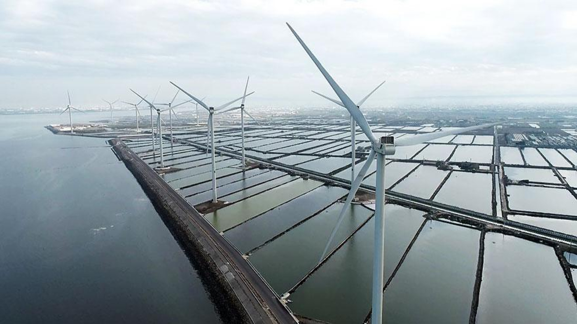 2/13今晚十點：彰化海岸的風機難題｜回龜山野