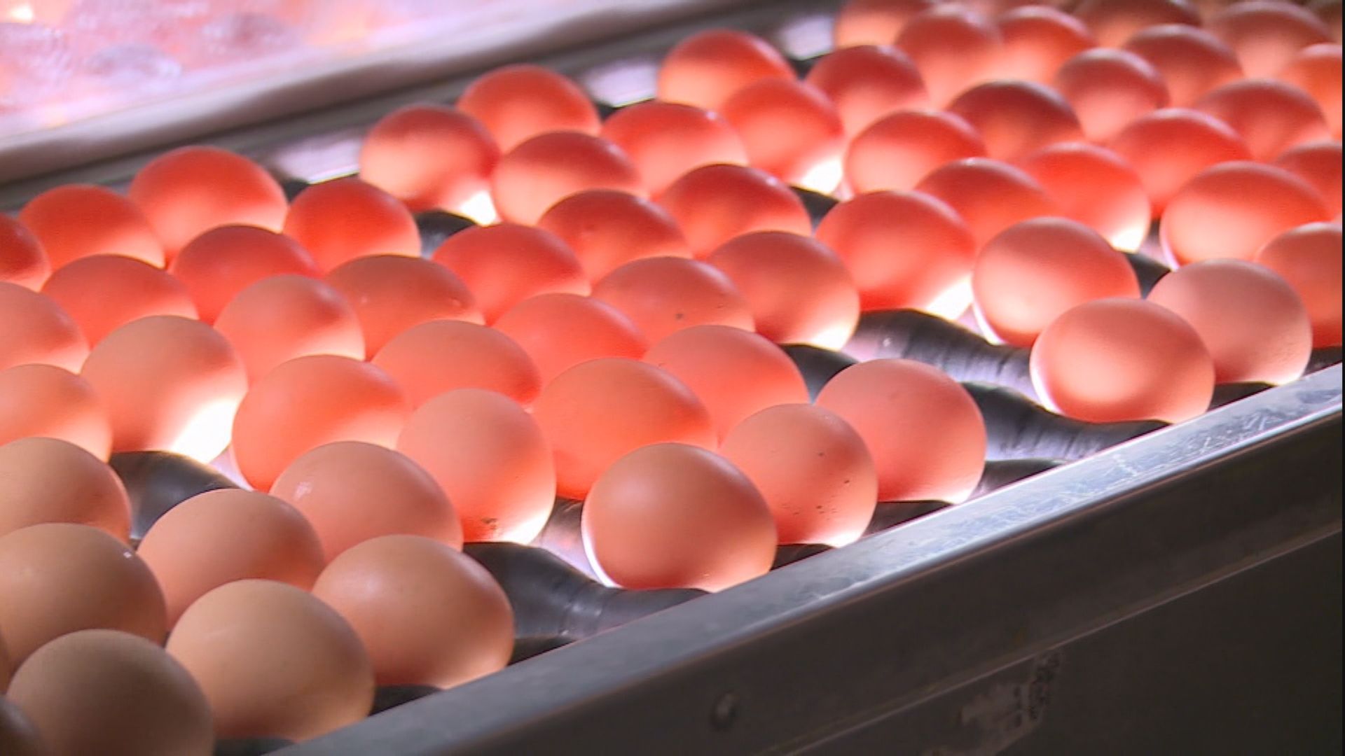 COA Substituting Soy Milk for Eggs for Military? 駁國軍喝豆漿取代吃蛋  防長:額外營養補充