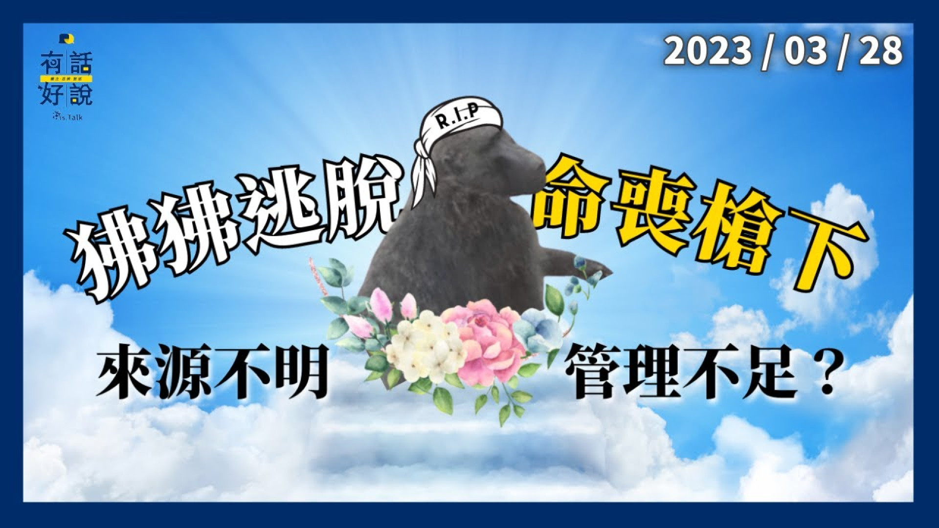 狒狒逃脫！圍捕16天！枉死槍下？來源不明！管理不足？緊急處置欠專業