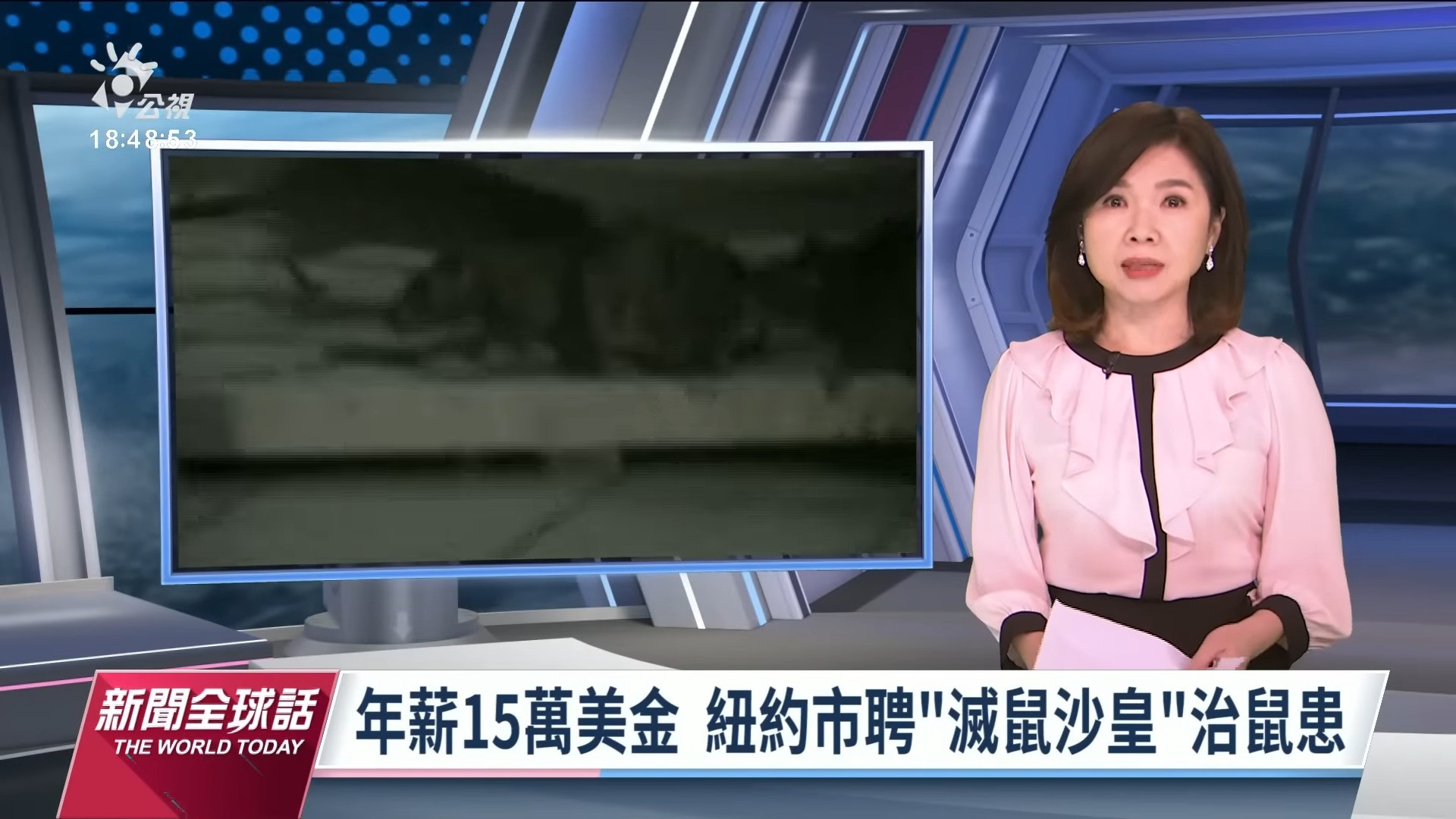 2023/04/13 公視新聞全球話｜治理鼠患年薪15萬美金 紐約市設「滅鼠沙皇」新職