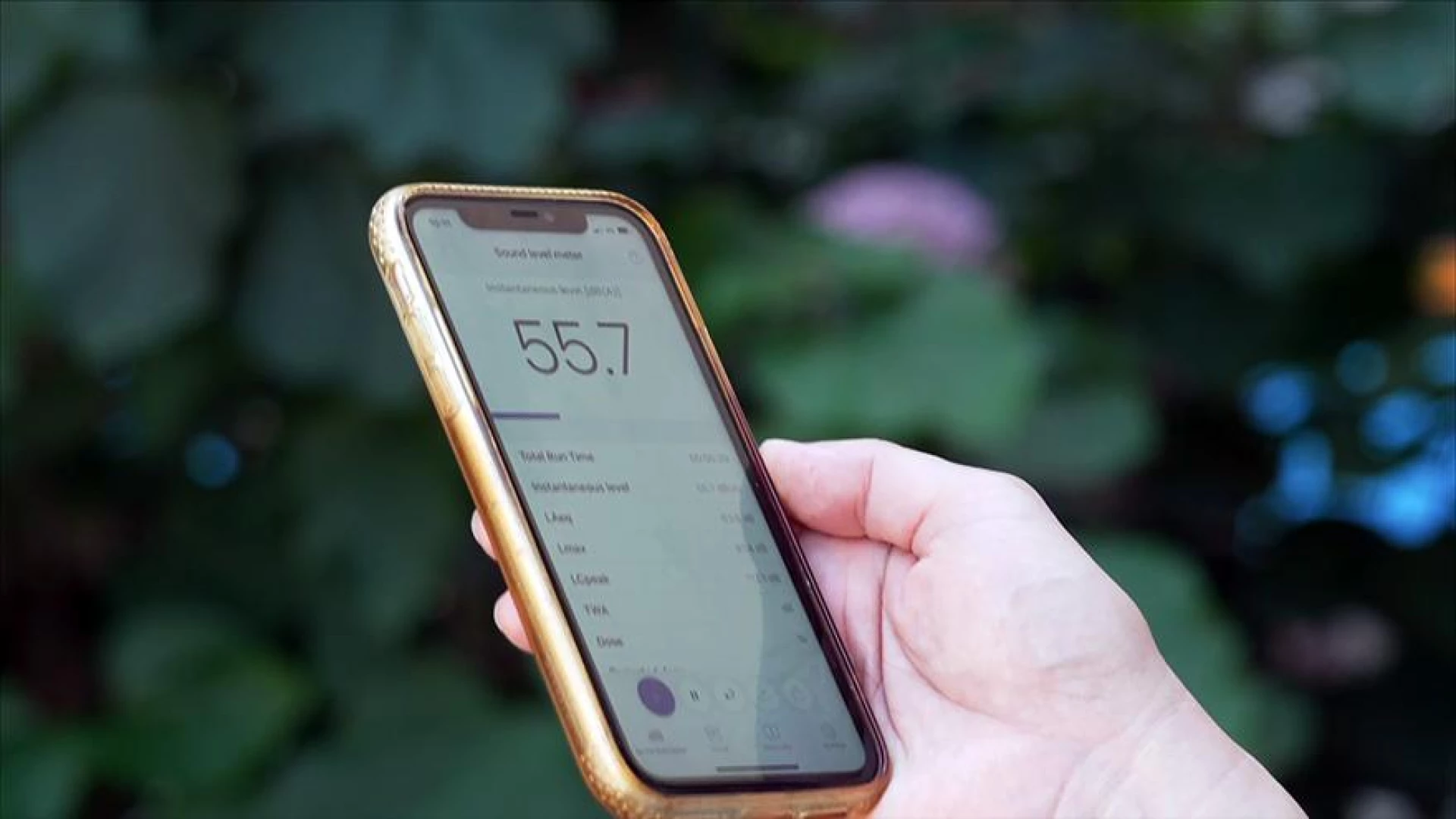 7/31今晚10點播出：城市靜土何處尋｜不一樣的生態鳥園