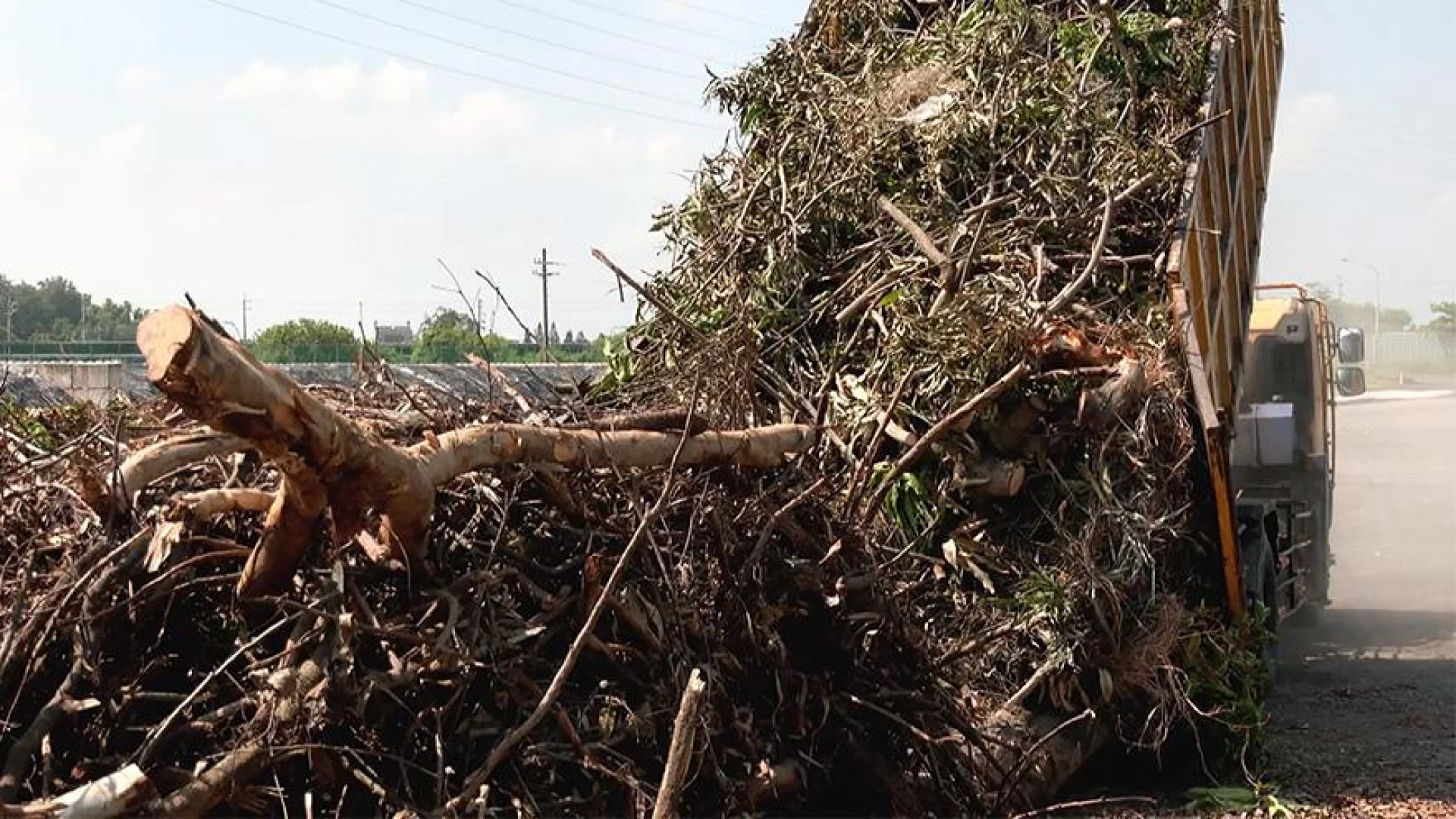 10/2晚間10點：廢樹枝的小旅行｜廢木再利用成永續資材