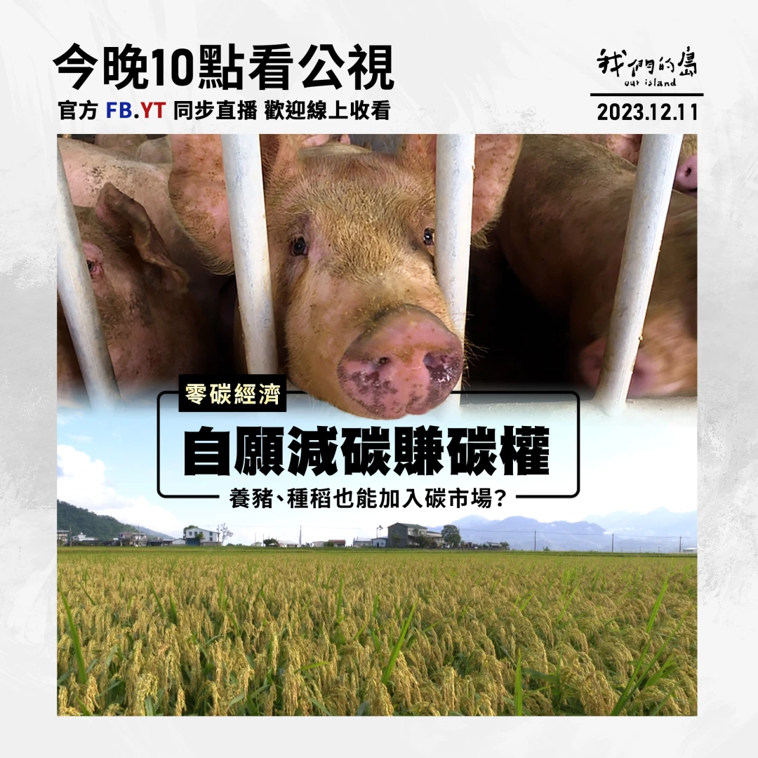 12/11晚間10點：自願減碳賺碳權｜養豬、種稻也能加入碳市場？