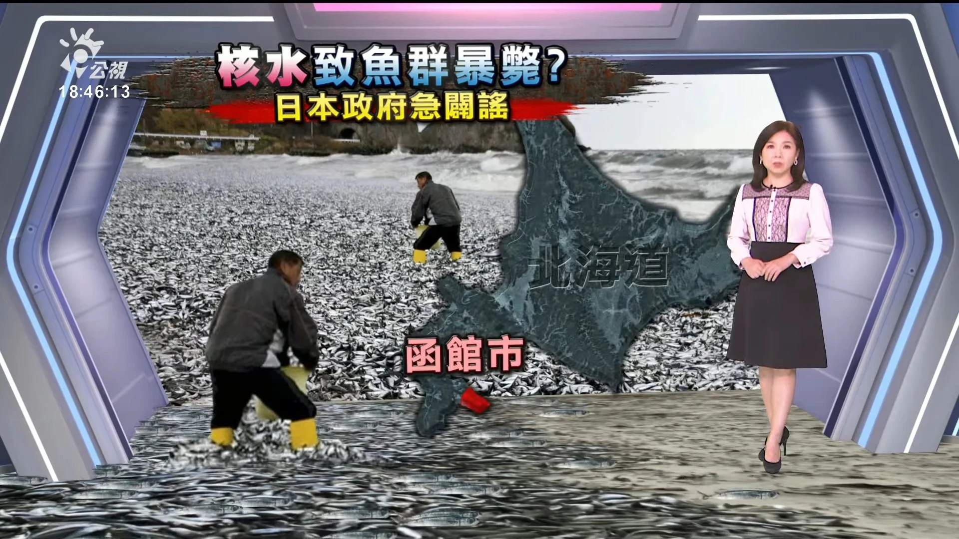 2023/12/13公視新聞全球話｜函館海岸布滿魚屍、「網傳受核處理水影響」，官方闢謠