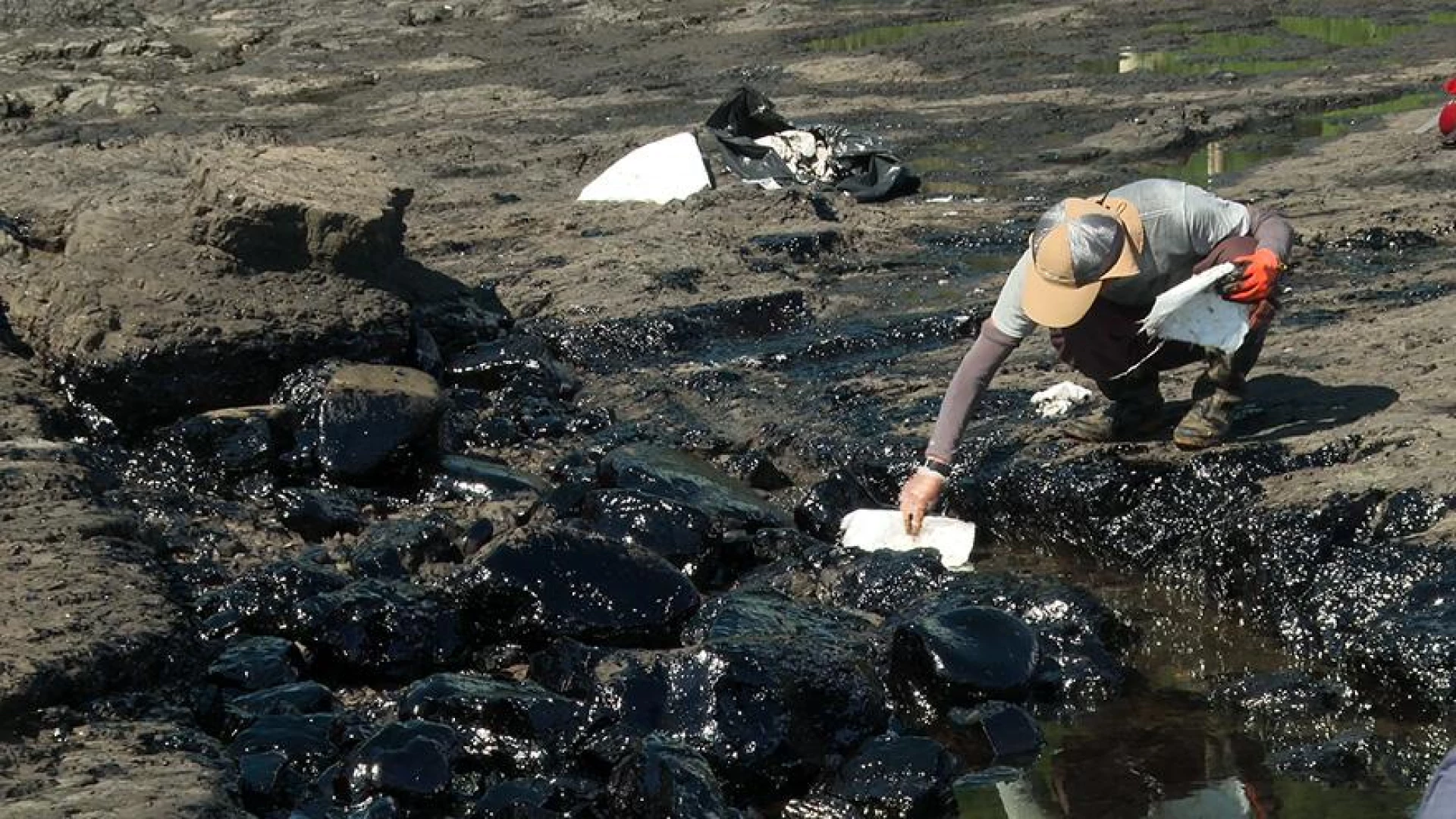 東海岸油污劫｜誰在染黑綠島、宜蘭、貢寮、澎湖的海邊生態
