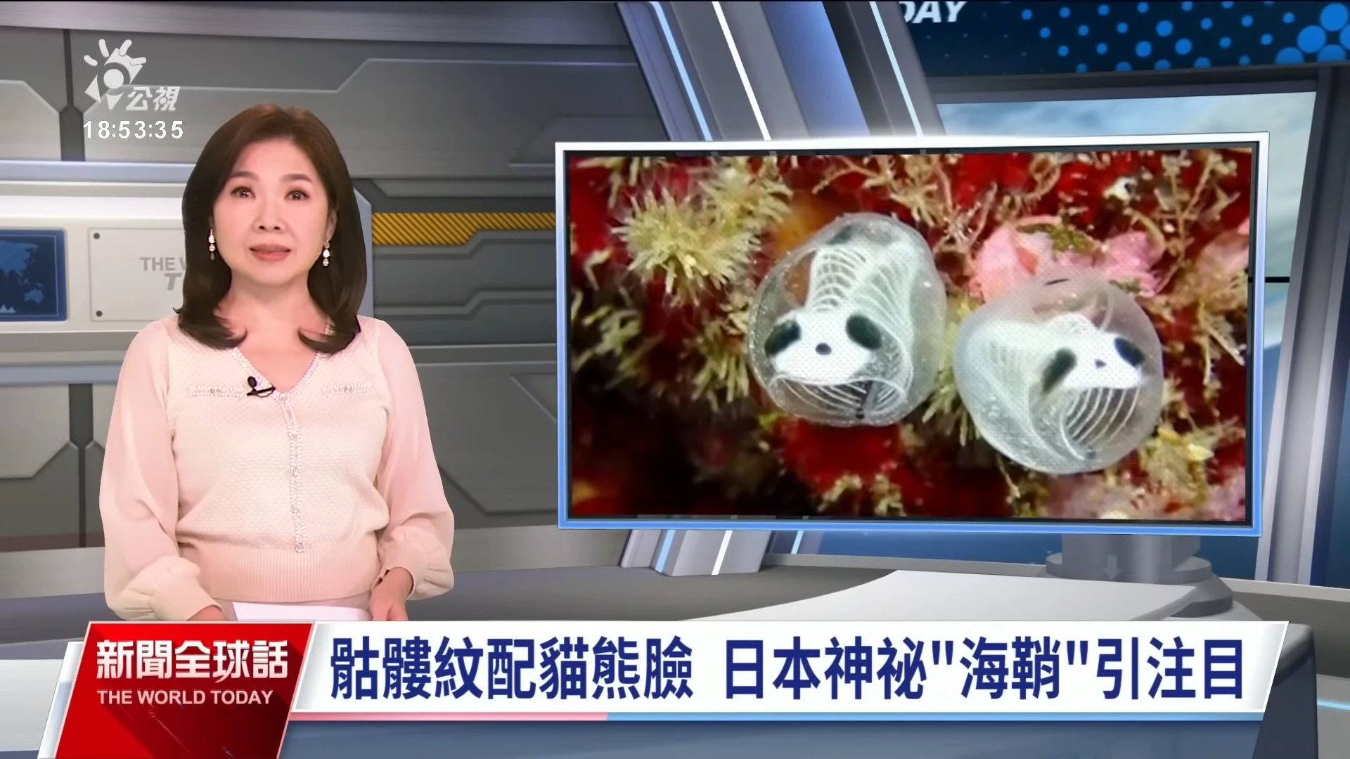 2024/02/16公視新聞全球話｜美揭俄將部署太空核武，俄批造謠、為遊說國會通過援烏法案