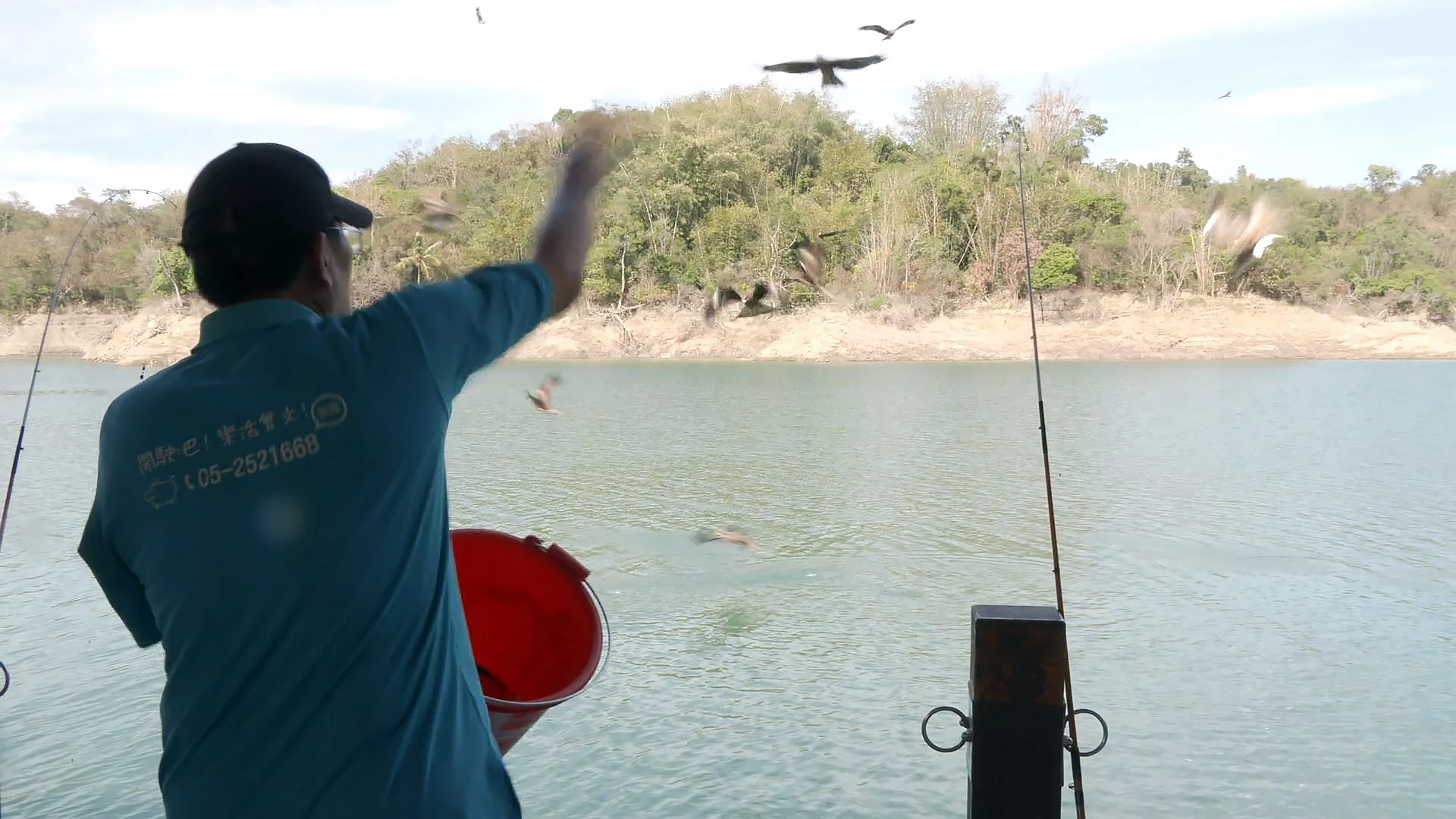 4/15 今晚10點播出：餵餵黑鳶OK嗎？｜人為餵食的爭議與必要性