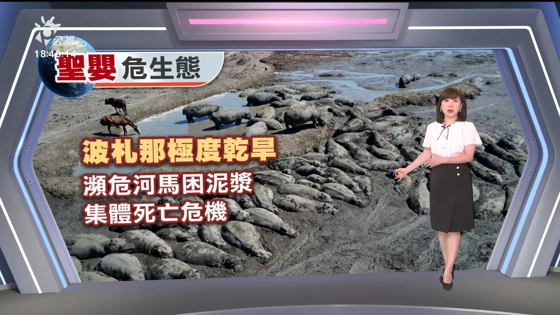2024/04/30公視新聞全球話｜美北卡爆警匪槍戰，執法單位４人殉職、傷亡慘重；嫌犯遭擊斃