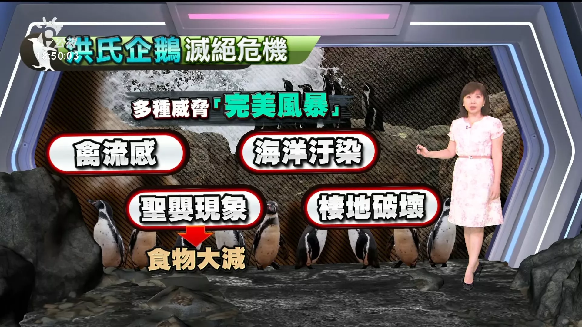 2024/06/12公視新聞全球話｜已婚者須統一姓氏，日本未來恐遇姓氏滅絕危機、500年後可能全姓佐藤