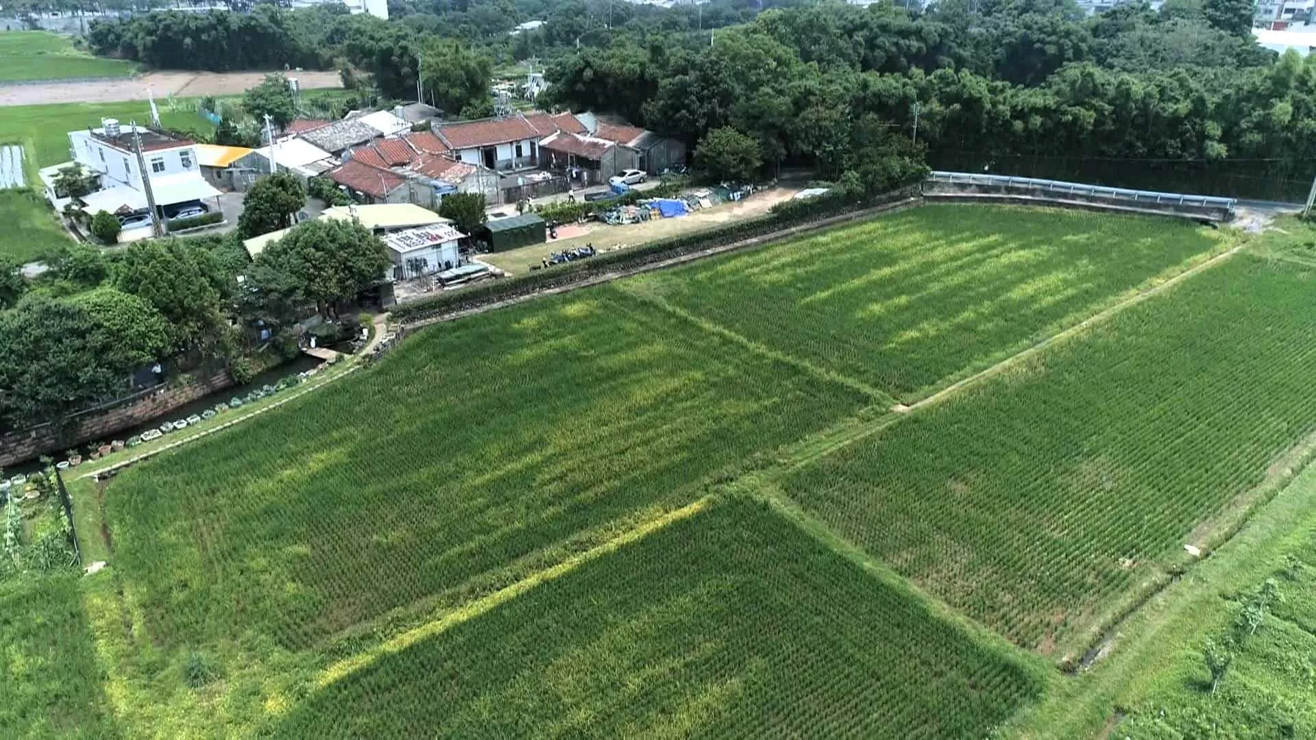 6/24 週一晚間十點播出：竹東徵收又來臨｜他們守了這片農地三十年