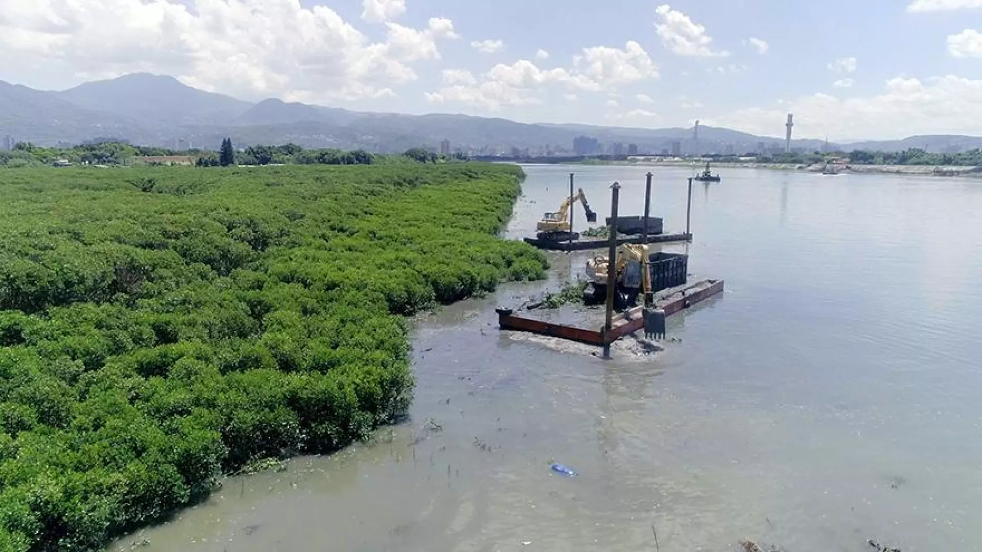 9/2 晚間十點播出：灘地回復｜為什麼這些地方必須清除紅樹林？