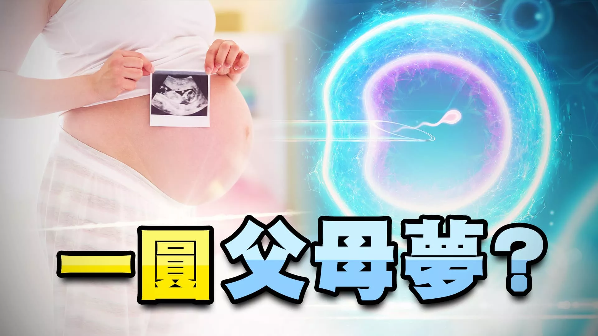 開放代理孕母？單身女性 同性配偶人工生殖合法？