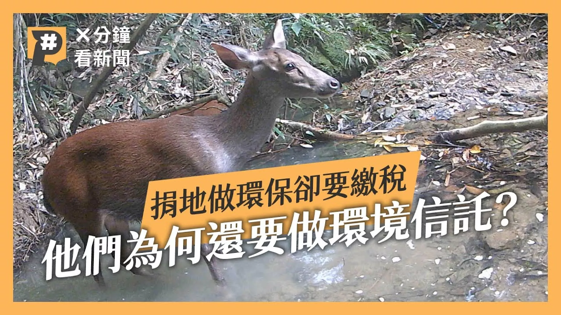 環境信託是什麼？有法可循捐地保護環境要繳稅，只有交給銀行才免稅？