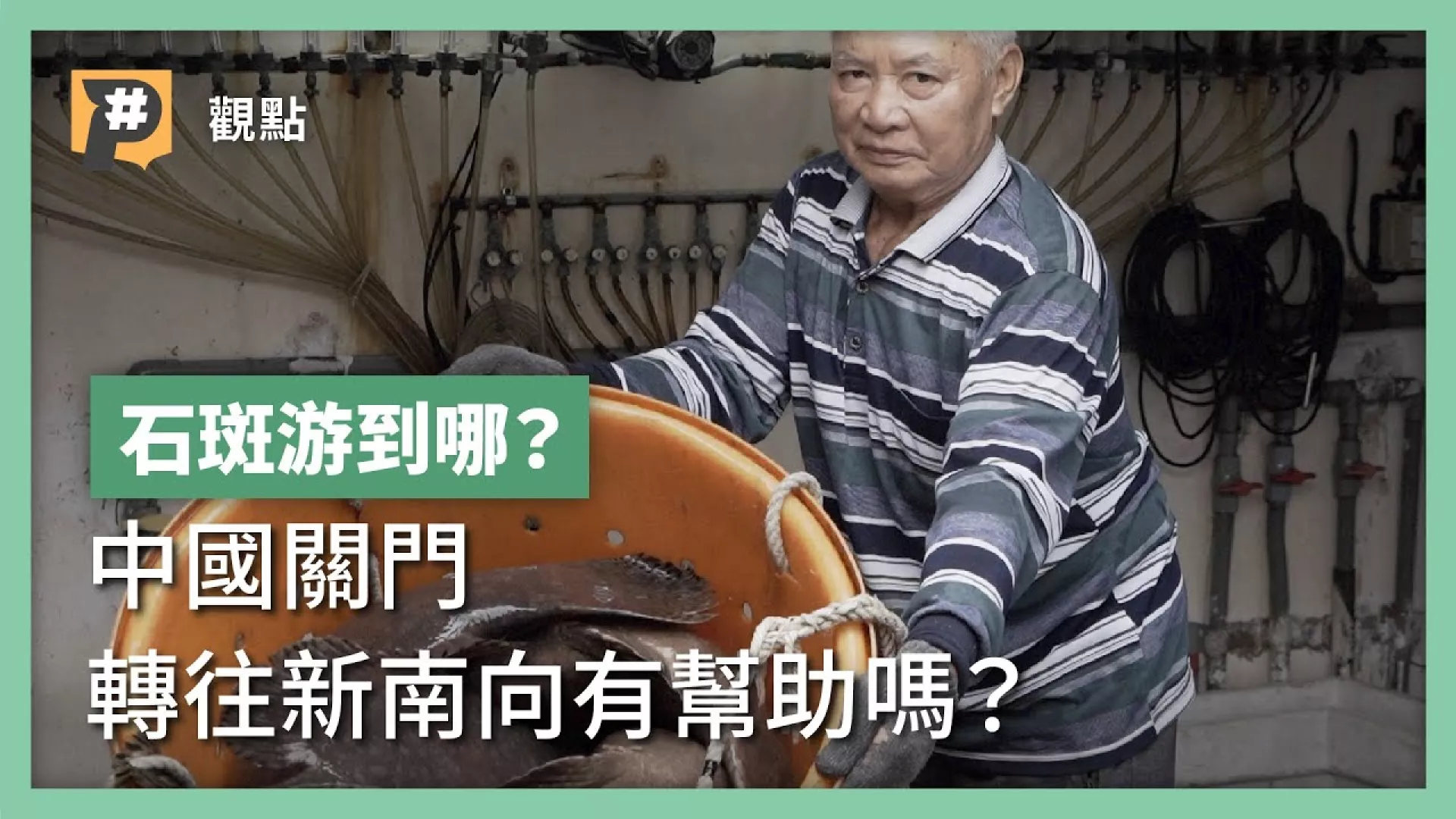 石斑如果失去中國市場，還能銷去哪？八年新南向是活路嗎？