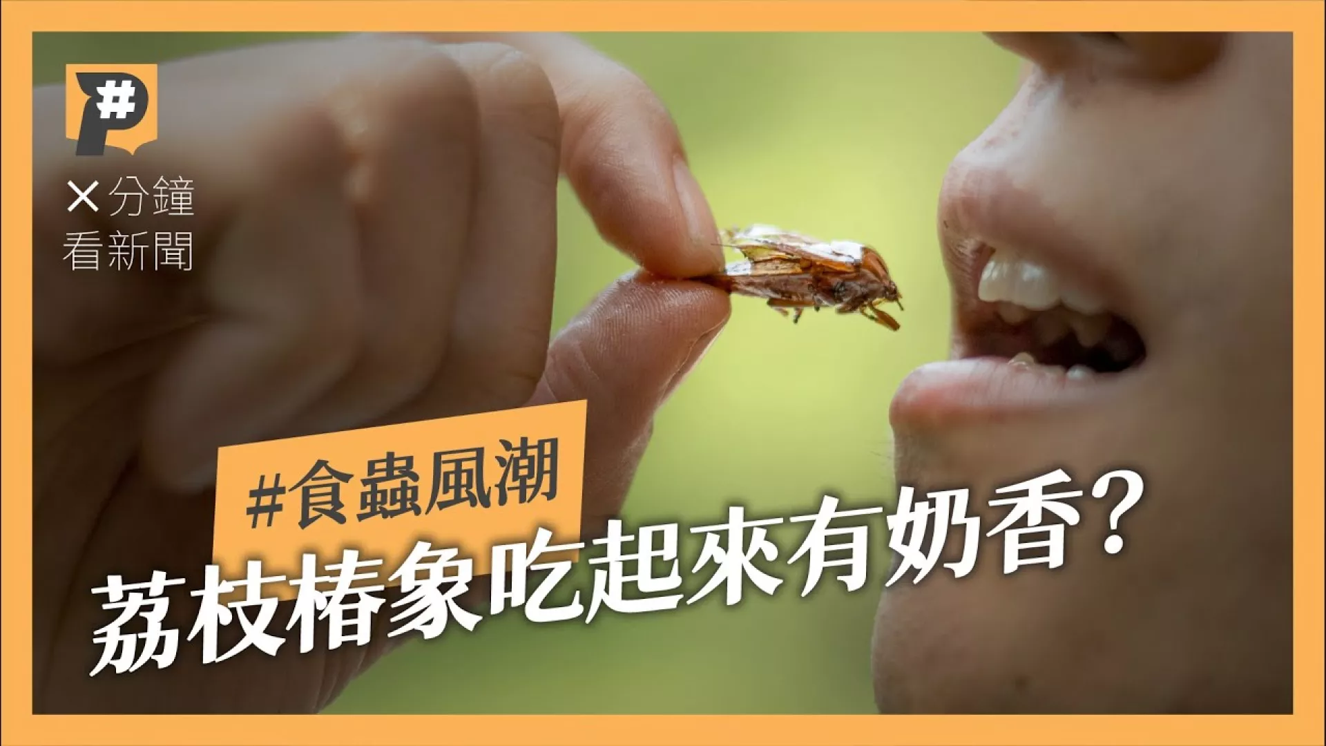 其實你天天在吃蟲？美國巧克力、啤酒允許有蟲？台灣適合推廣吃蟲？