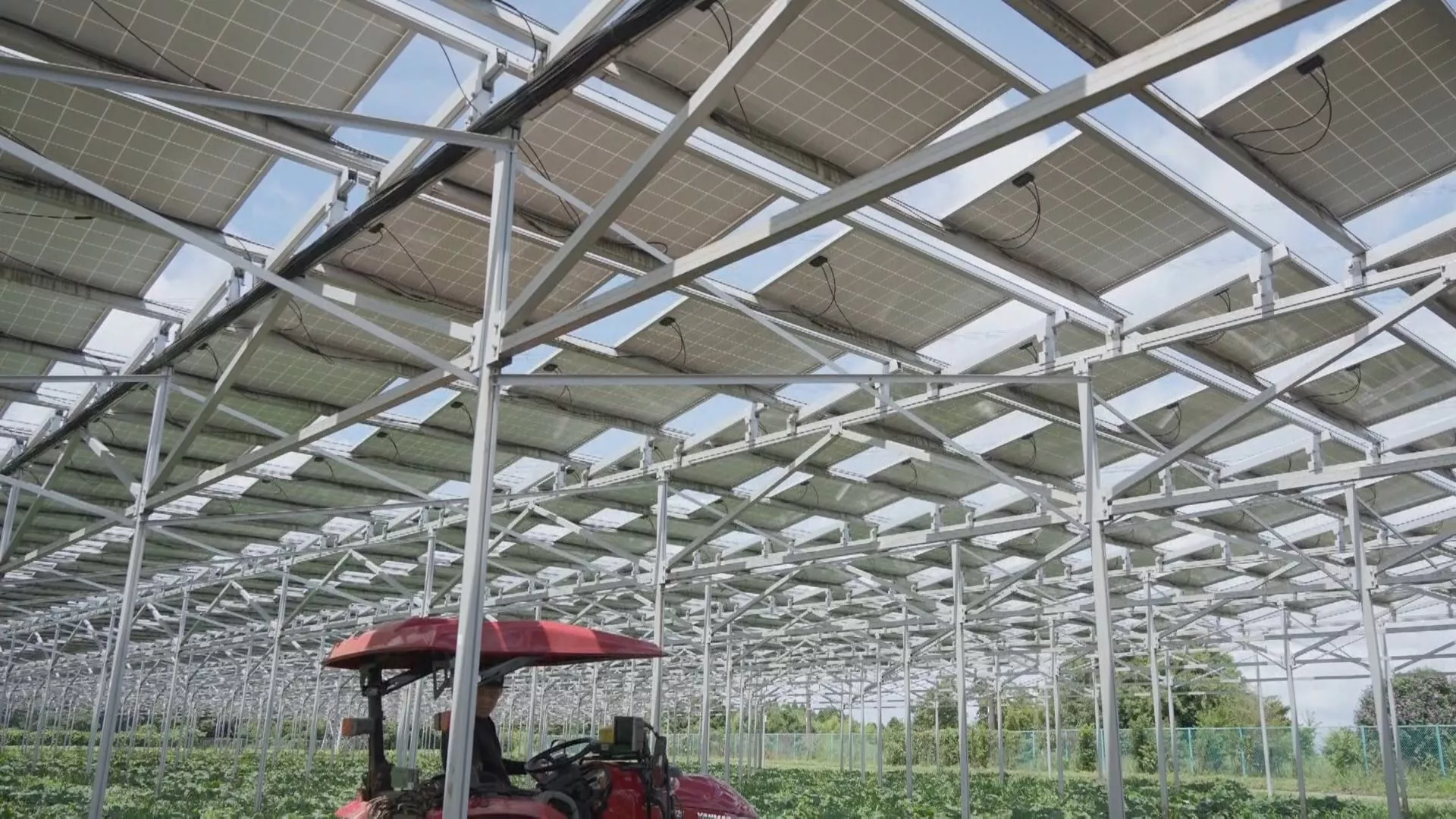 12/2晚間十點播出：我們的島特企》前進日本｜日光能否共享？