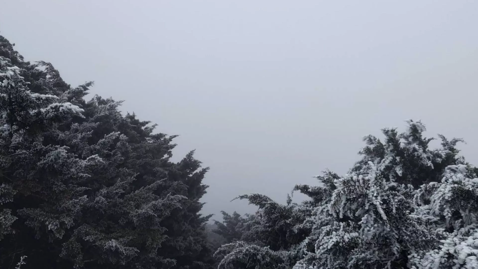 Suhu 12°C tercatat di utara, Yilan, Matsu; puncak Yushan menjadi putih keperakan