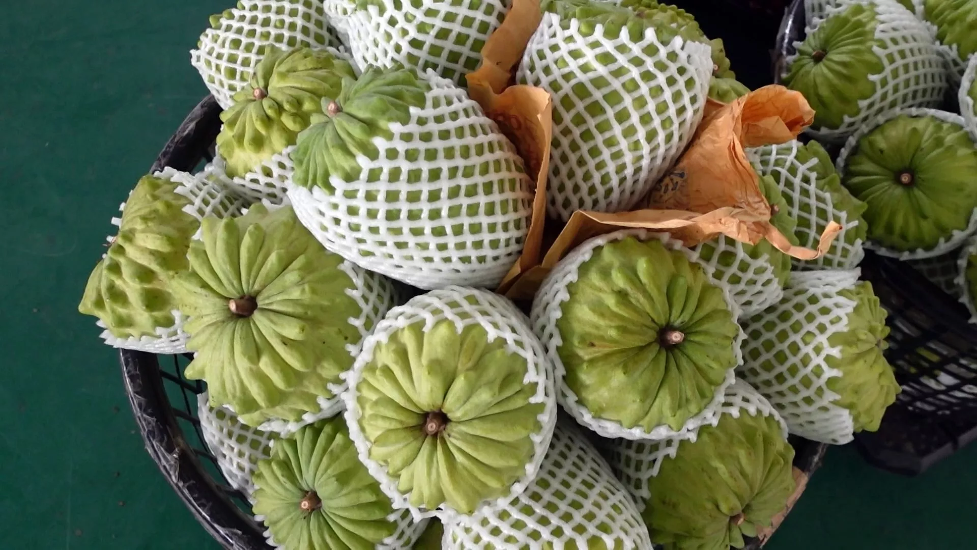 Buah nona bebas pestisida Taiwan dirancang untuk mendobrak pasar Asia Tenggara 