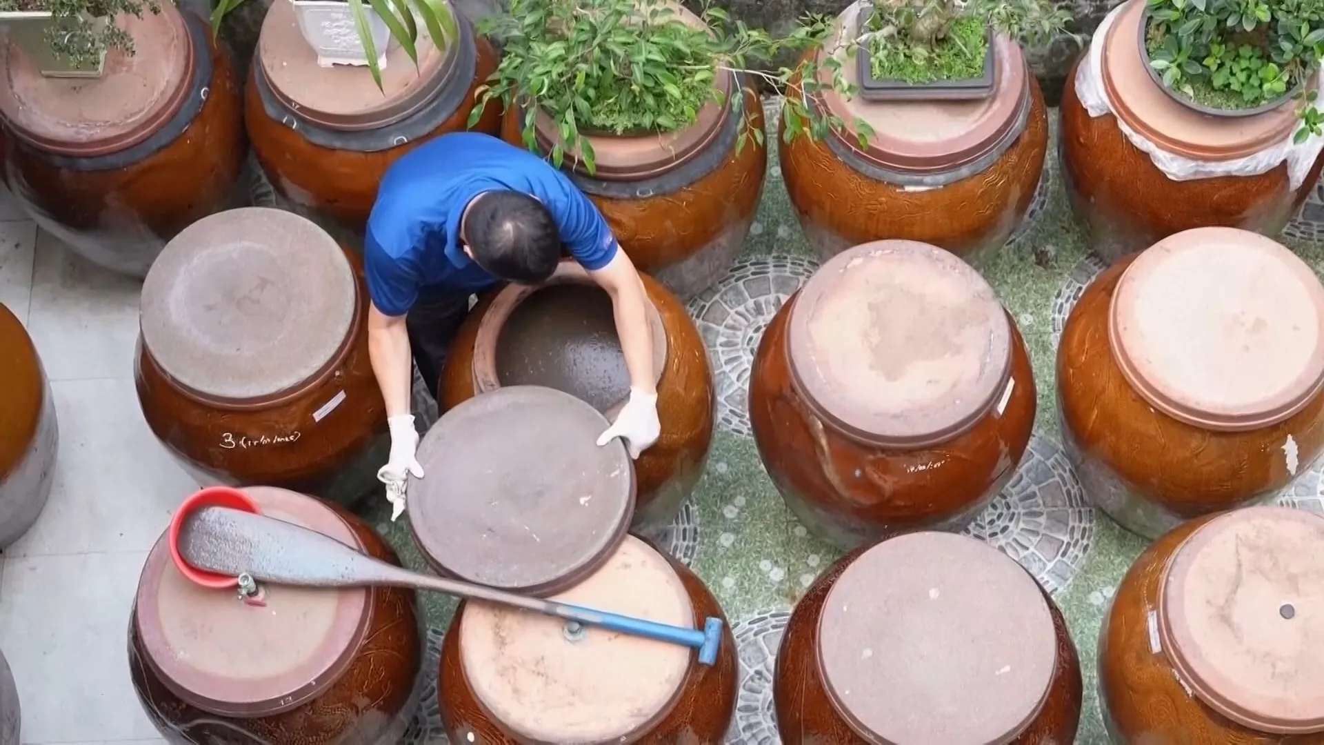 Nước mắm Nam Ô, di sản 400 năm trước nguy cơ "sóng dữ"