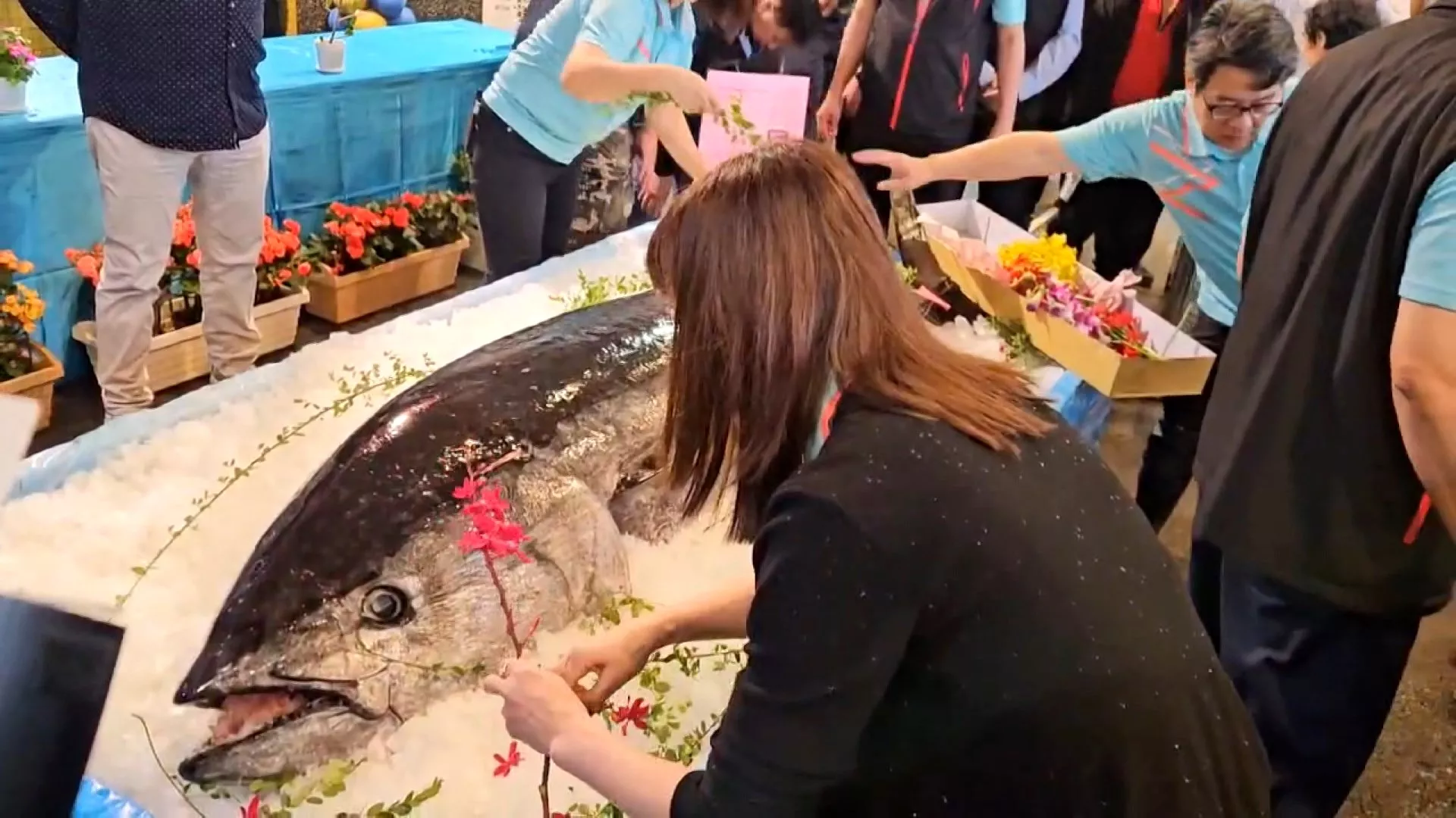 Đấu giá "siêu cá ngừ" với mức giá chốt là 1,66 triệu Đài tệ 