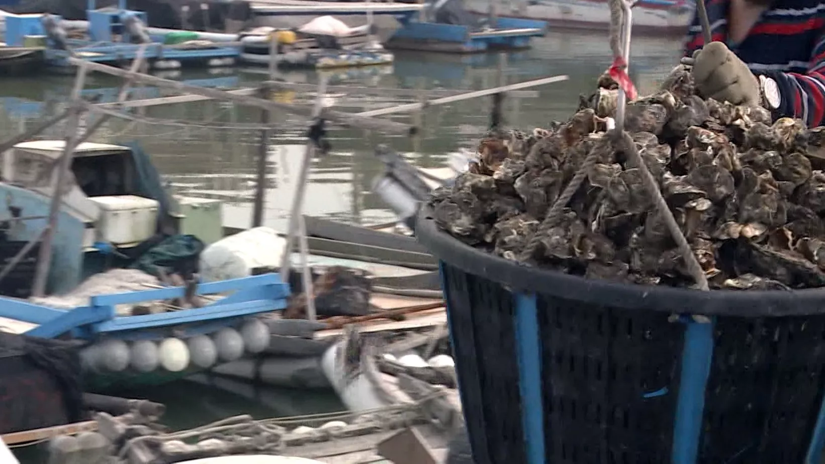 Vân Lâm thay đổi cách phạt đối với LĐ phi pháp ngành nông nghiệp