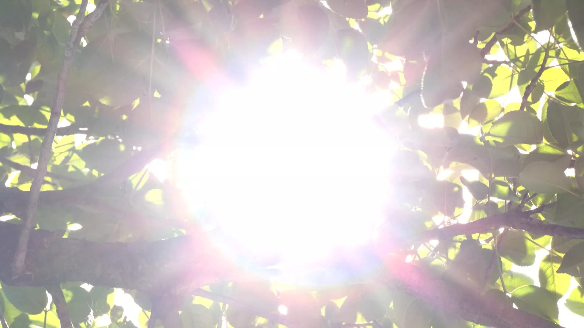 Suhu cuaca panas terik hingga Jumat, sebagian wilayah berpotensi tembus 38°C