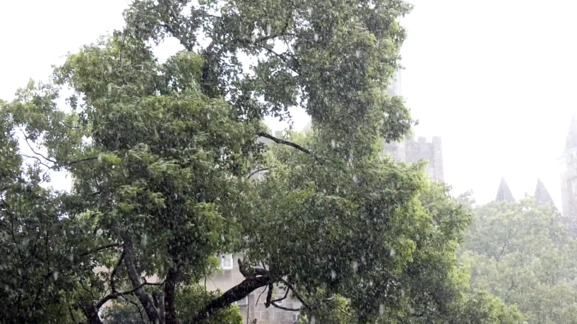หลังไต้ฝุ่น ฝนยังคงตกต่อเนื่อง สุดสัปดาห์อากาศแจ่มใสขึ้น