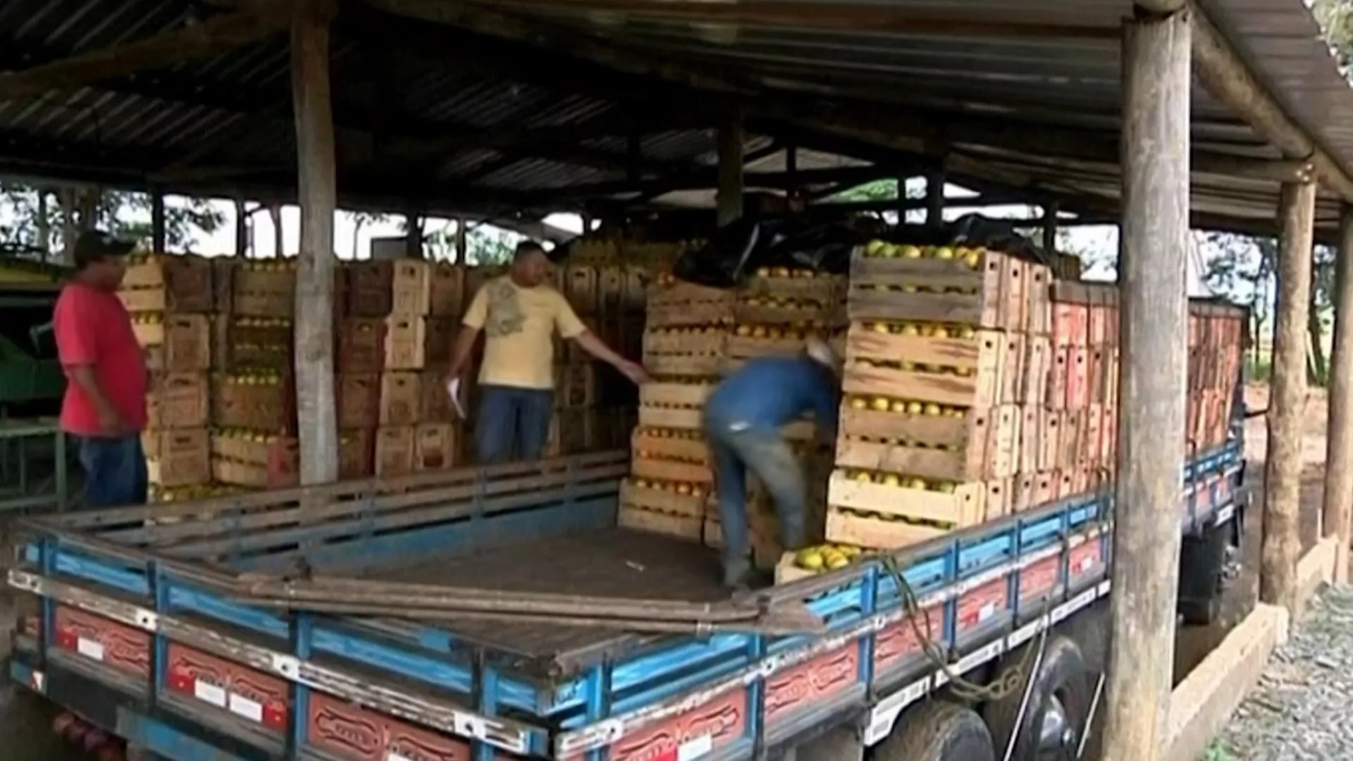 ทรัมป์เก็บภาษีบราซิล 50% ผู้เชี่ยวชาญลั่นเจ็บด้วยกันทั้งคู่