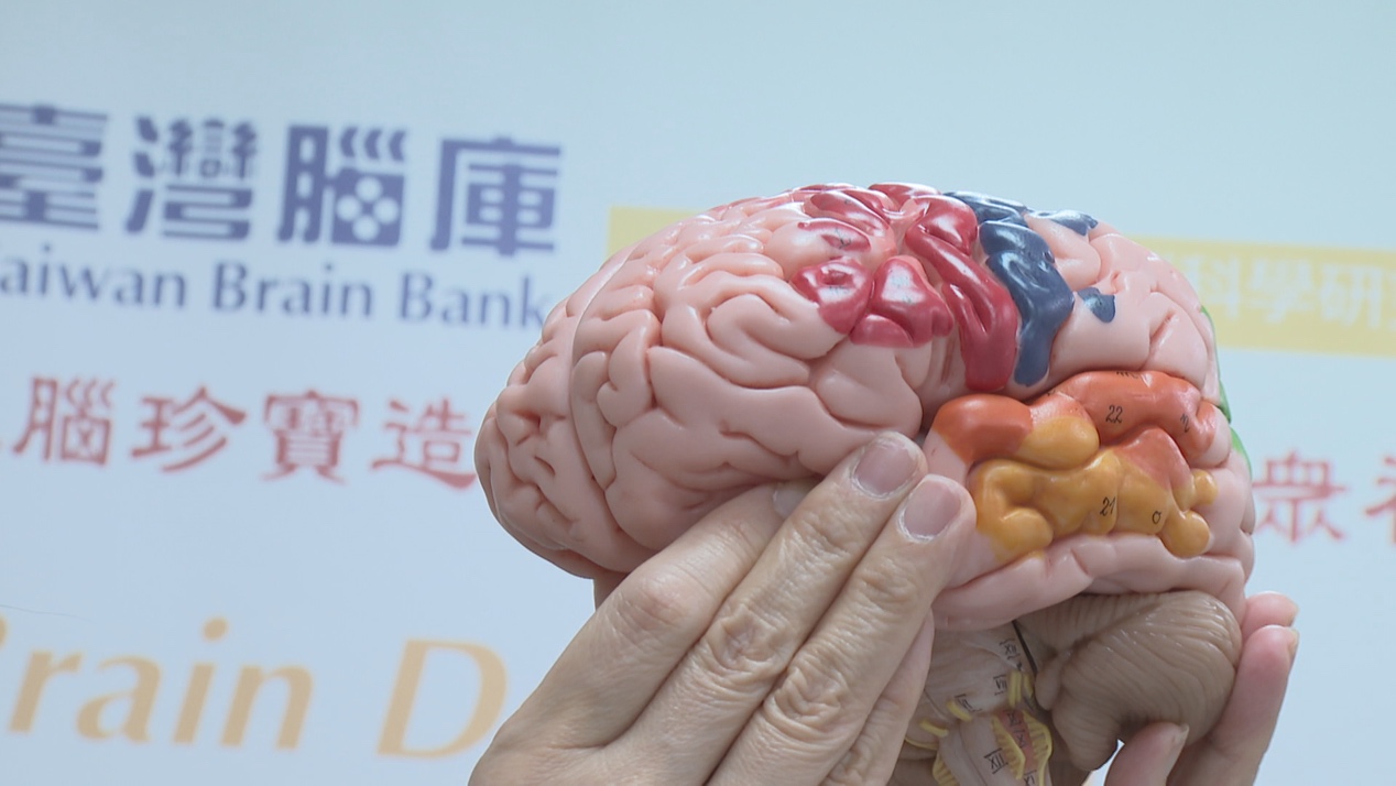 一張含有 文字, 腦 的圖片
自動產生的描述