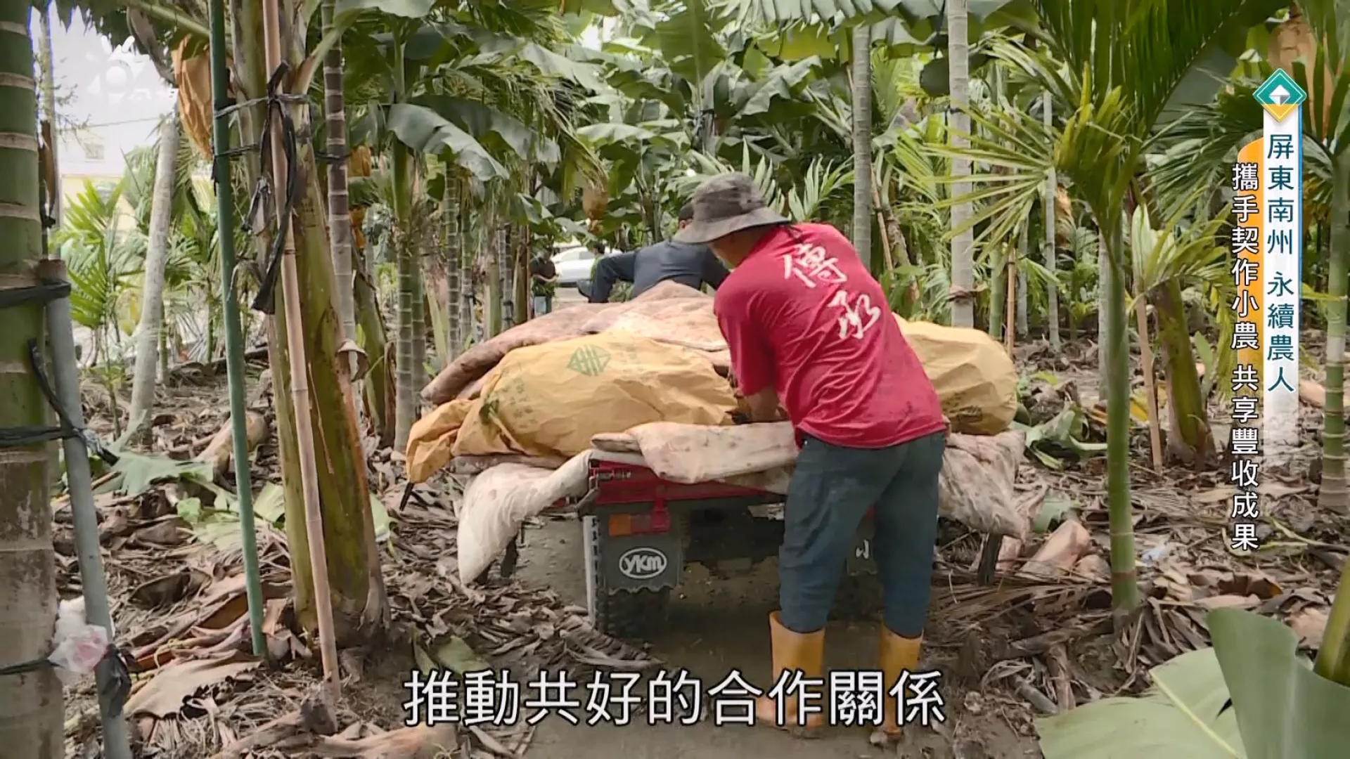 【屏東南州 永續農人】