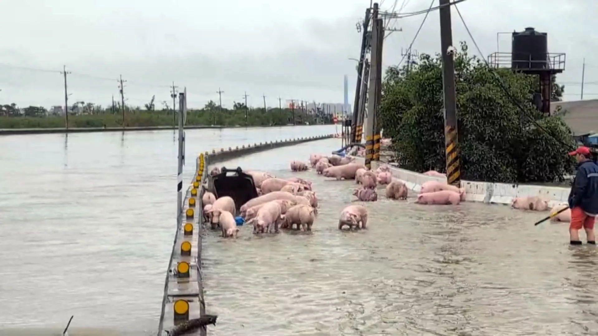 Hujan timbulkan bencana di Chiayi, sejumlah daerah laporkan bencana banjir
