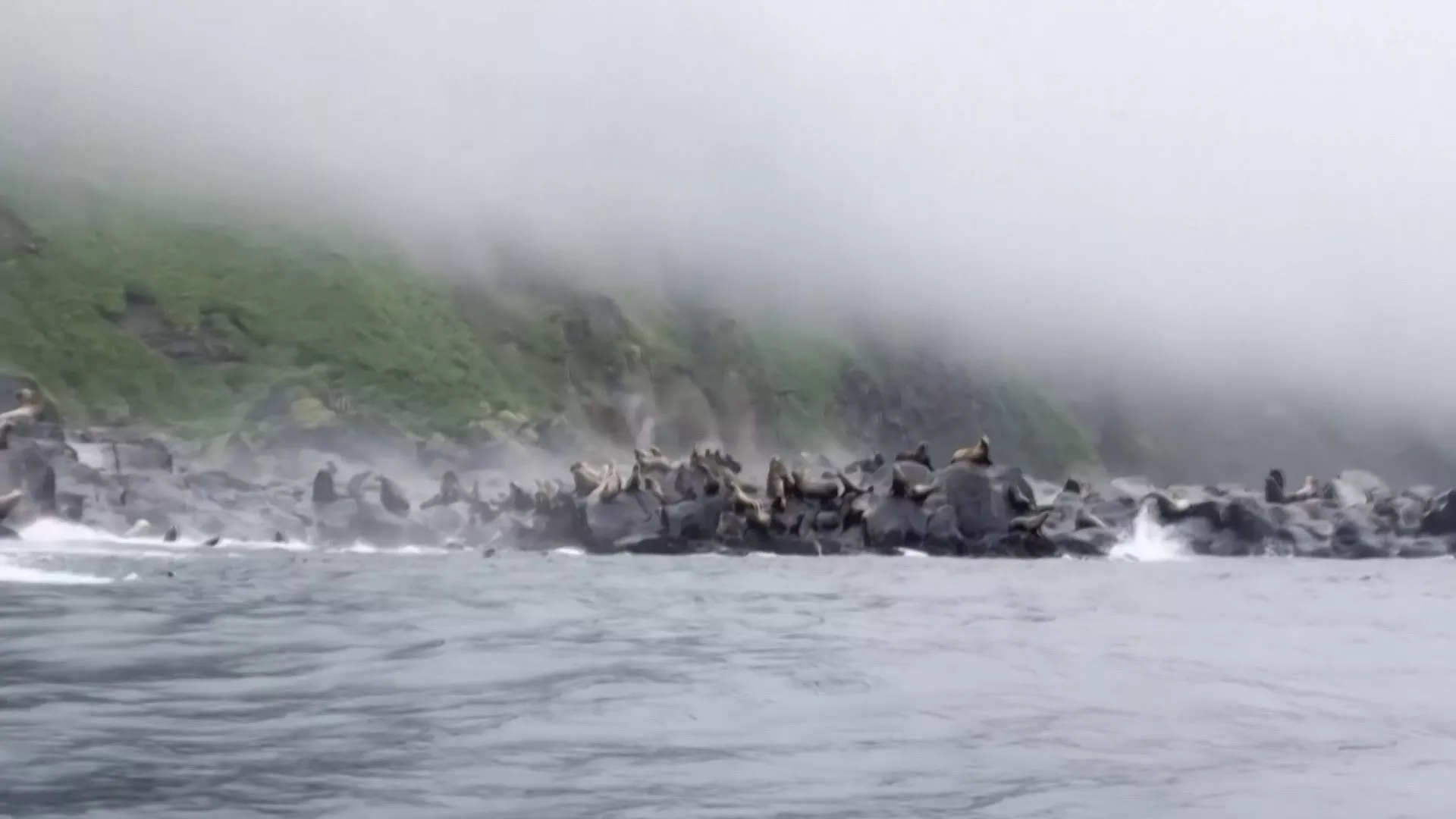 Tsunami 5 m muncul di Kamchatka, Gunung Berapi Klyuchevskaya Sopka meletus