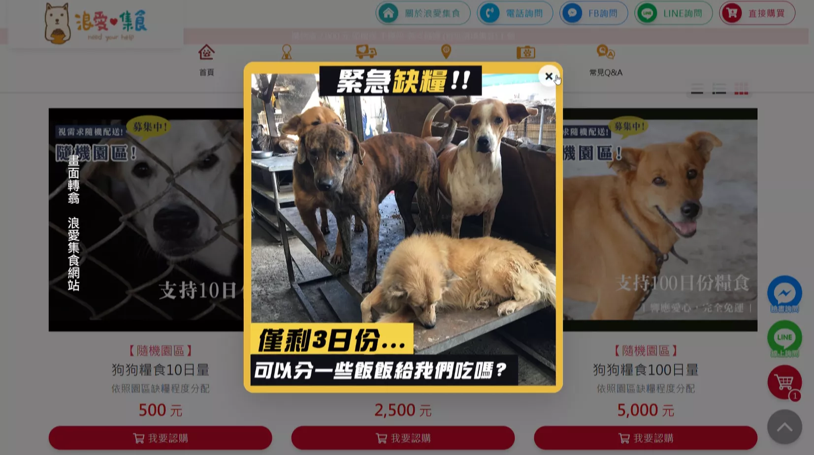 南部貓狗收容園區淹水 網路若像有募款詐騙