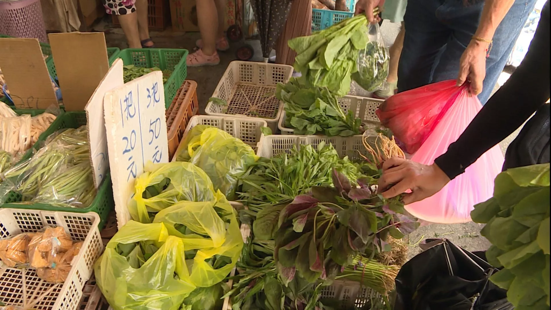 ไต้ฝุ่นทำผักแพง ผักกินใบในตลาดสดกรุงไทเปแพงขึ้น