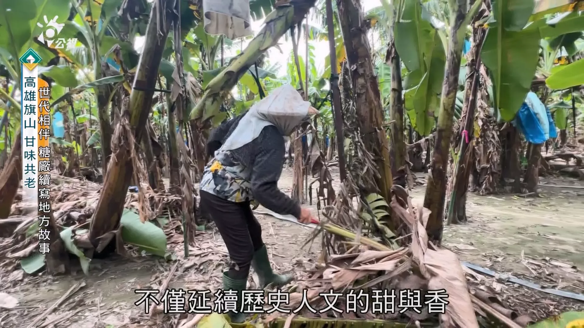 【高雄旗山 甘味共老】