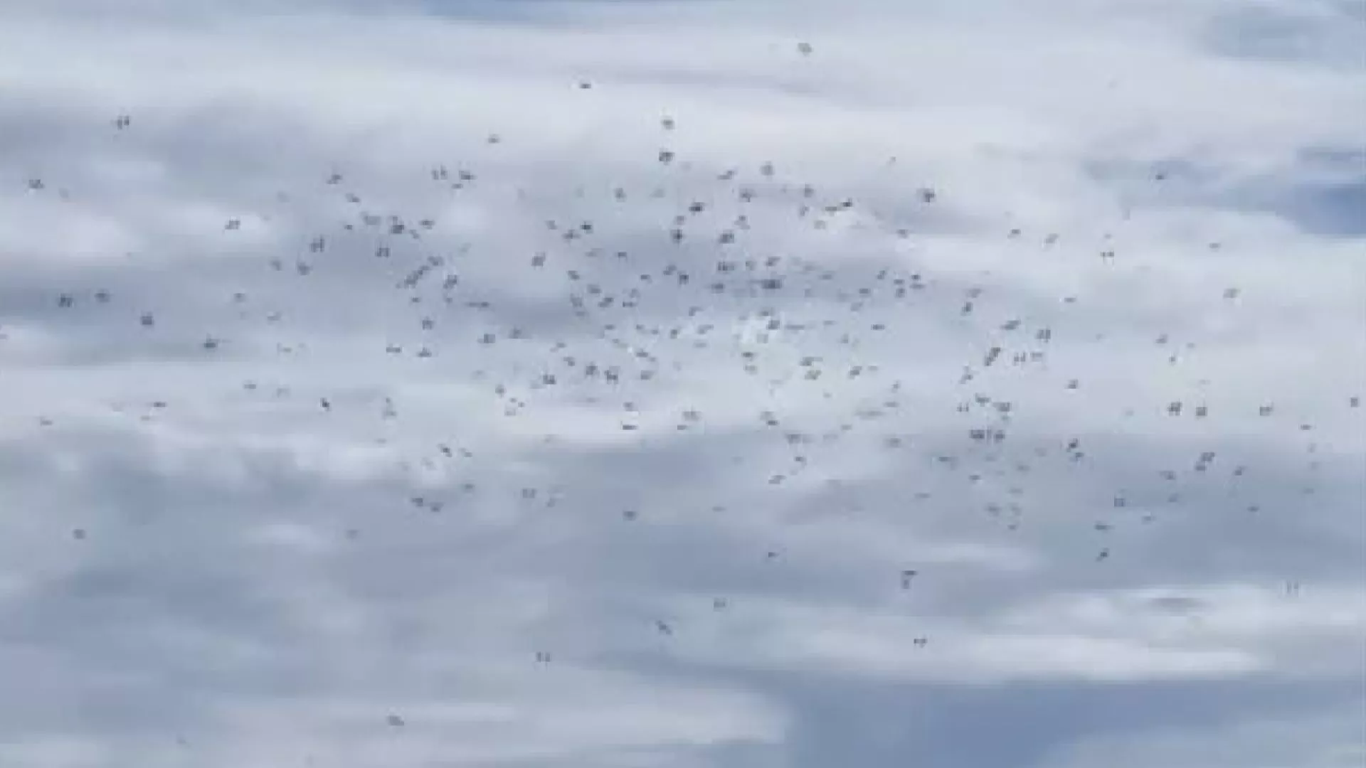 Fenomena "Burung Elang Nasional" yang menakjubkan di Taitung