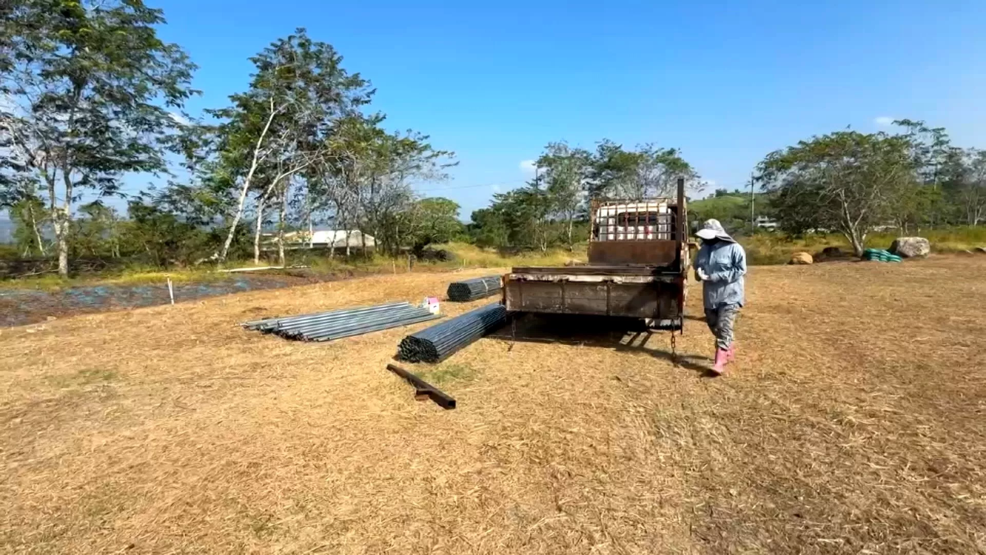 Kawanan monyet formosa serang kebun buah di Tainan, petani tak berdaya