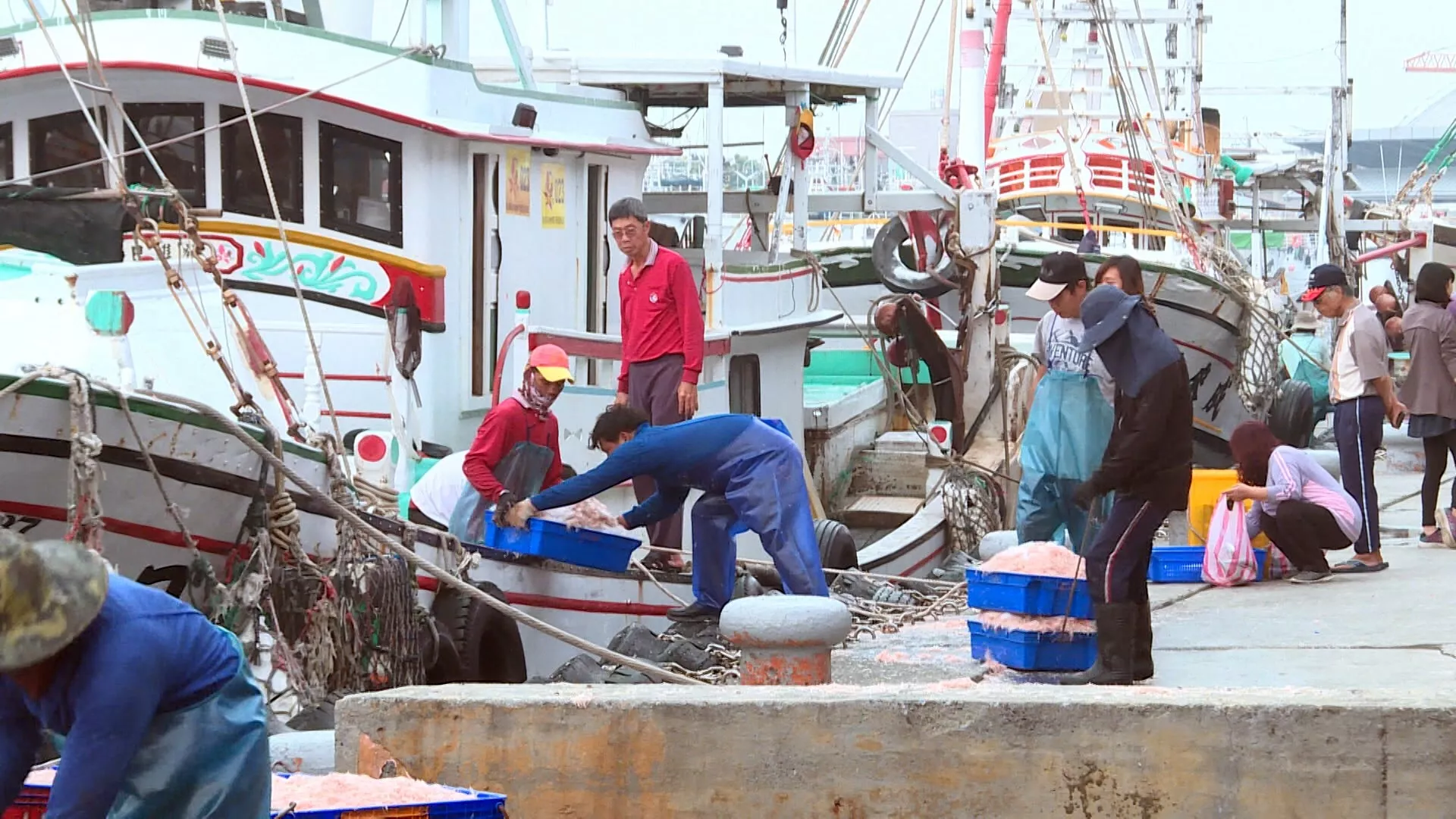 Industri perikanan Taiwan dilanda isu HAM, sistem rantai pasokan tak transparan