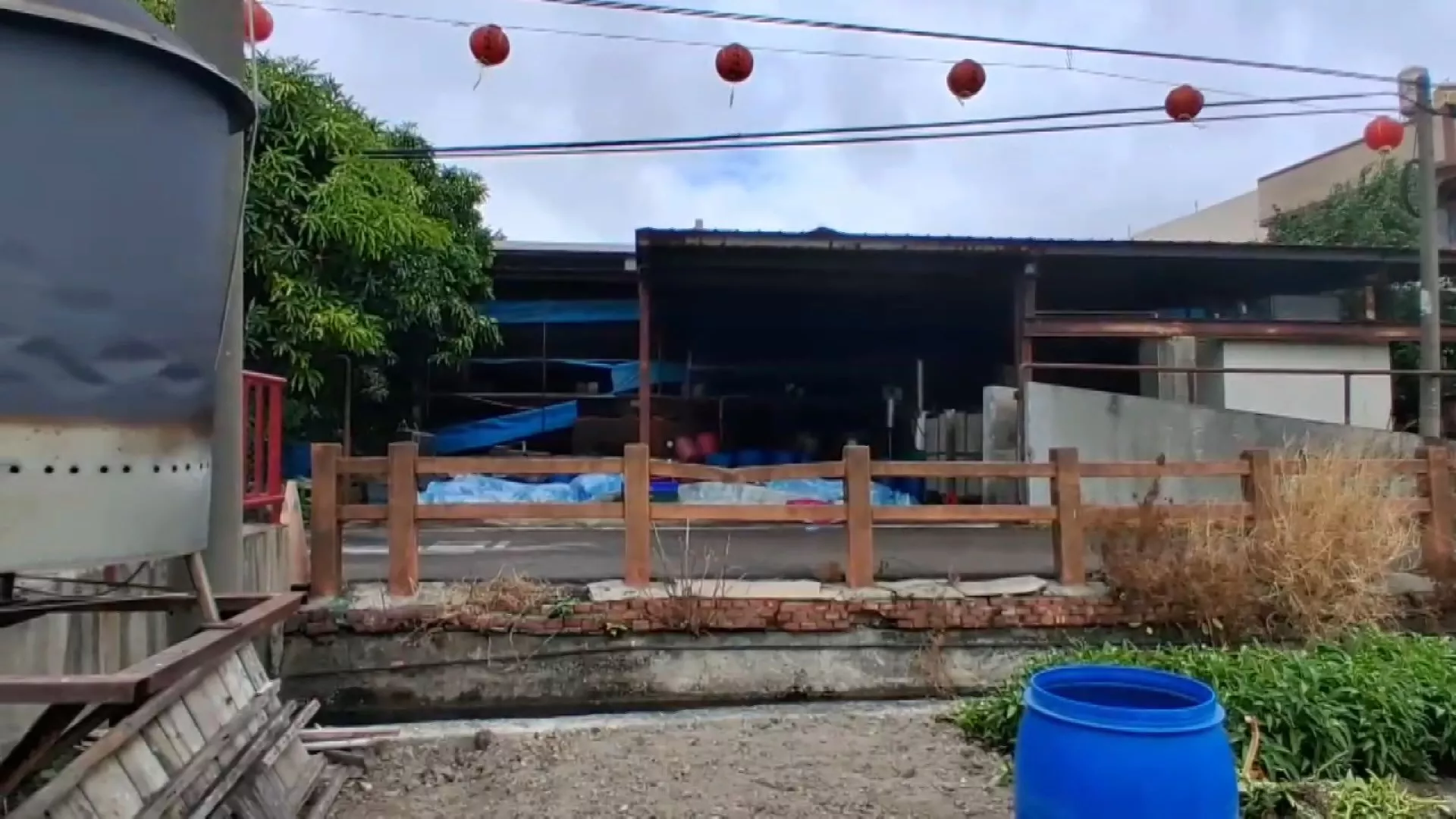 100-an ternak babi di Taichung mati, tes awal menunjukkan positif ASF