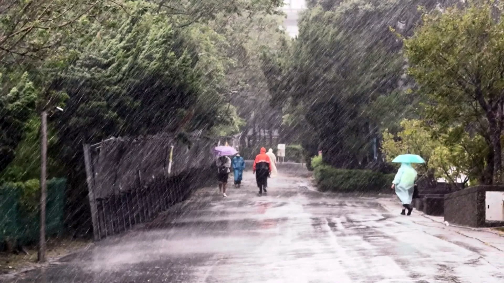 Angin monsun timur laut menguat, suhu sejuk di utara dan timur laut hingga Rabu