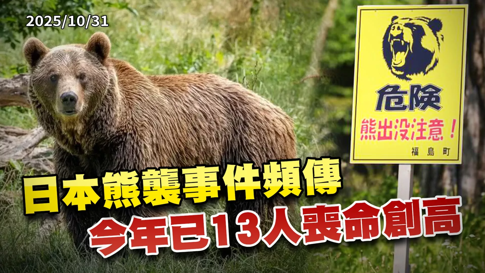 日本熊襲頻傳自衛隊出動 氣候. 棲息地變遷台灣也將面臨人熊搶地? ｜公共電視 - 尖鋒對話