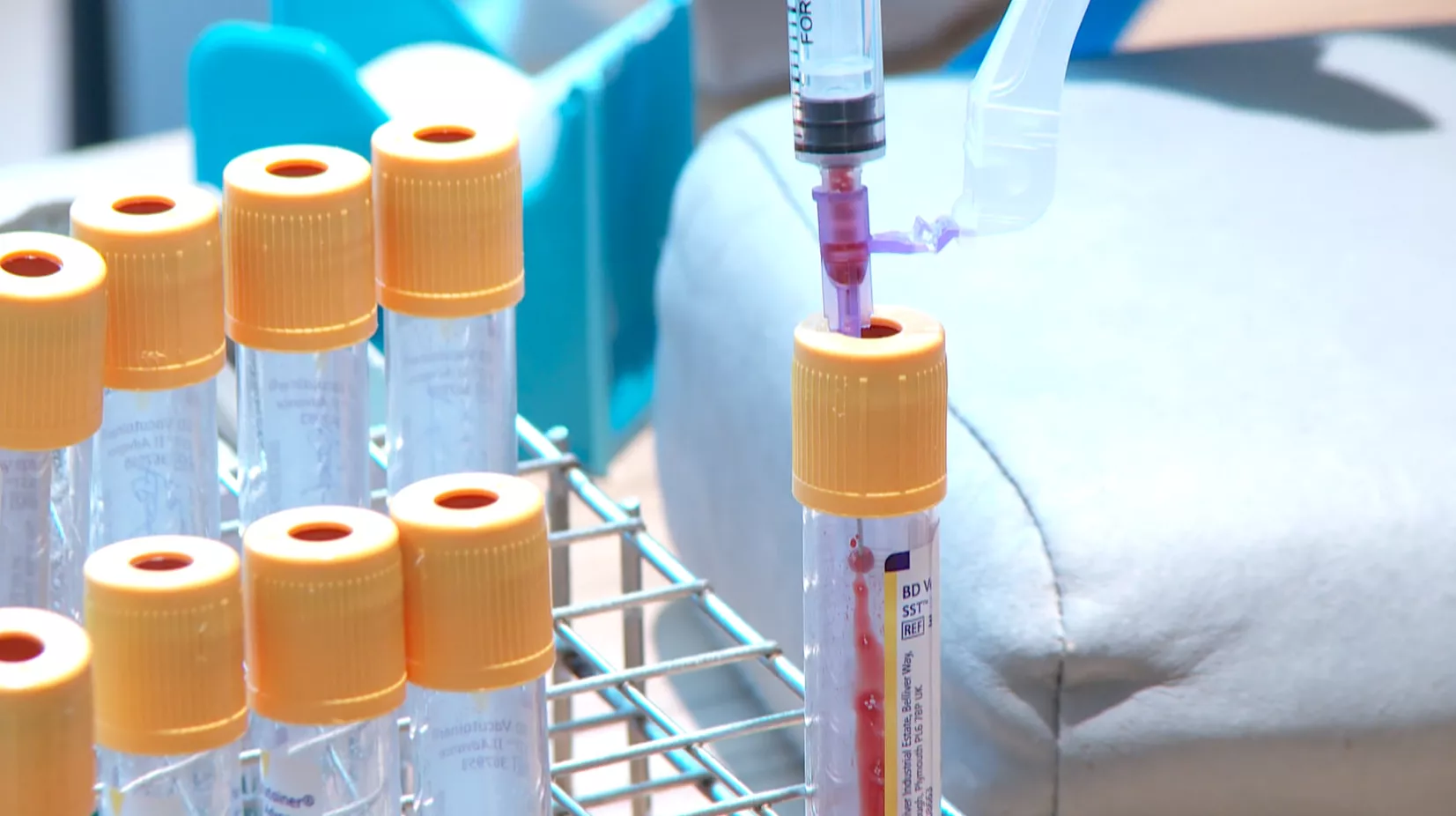 臺灣按算向世衛申請C肝消除認證 拚亞洲第一