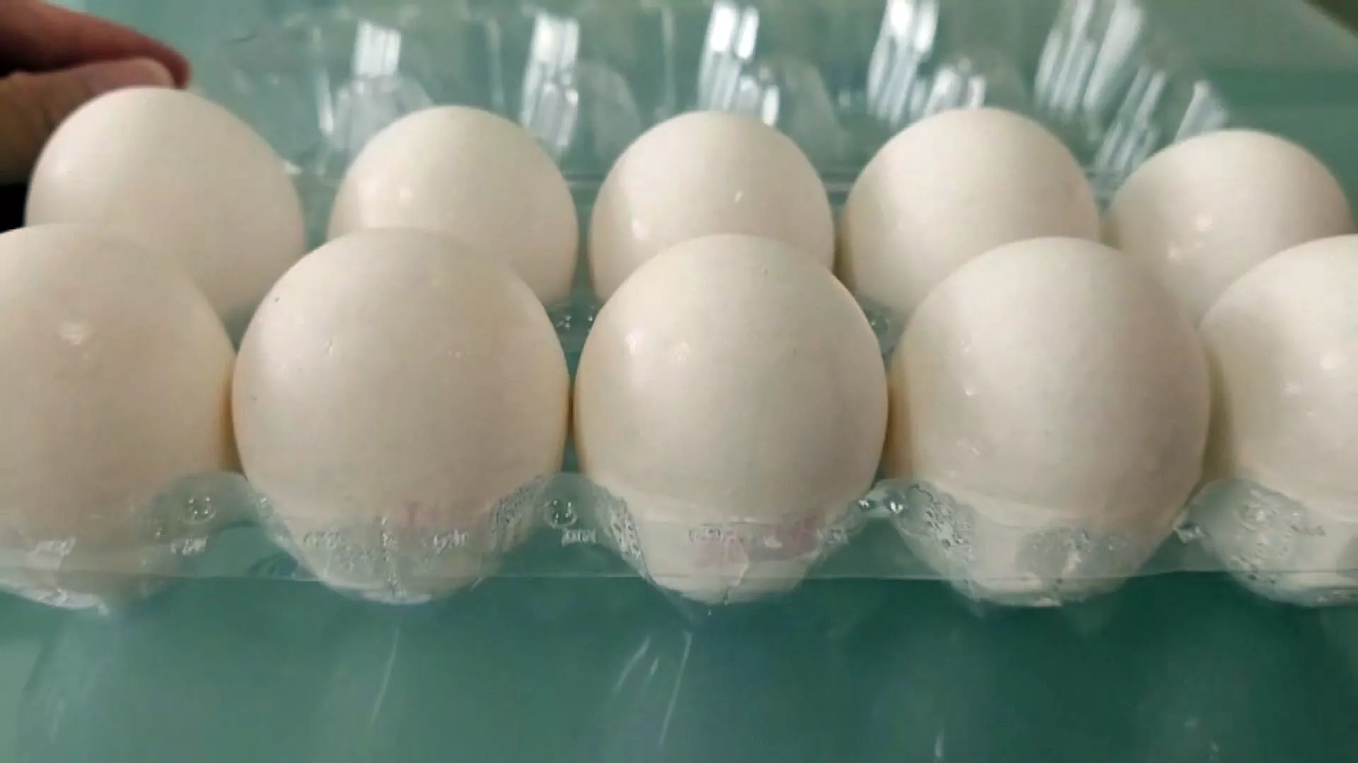 150.000 butir telur yang mengandung residu fipronil beredar di 9 kabupaten/kota