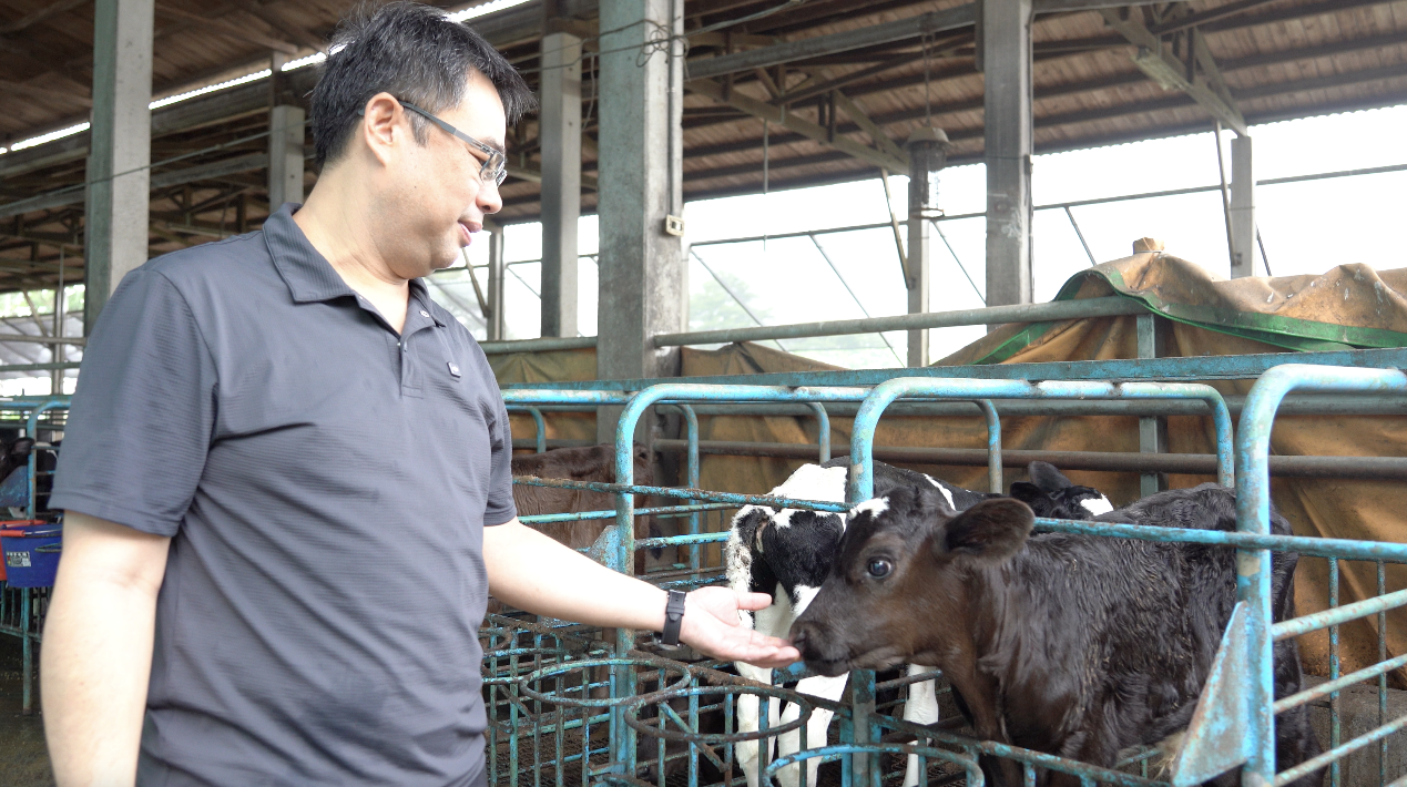 一張含有 人員, 服裝, 柵欄, 家畜 的圖片

AI 產生的內容可能不正確。