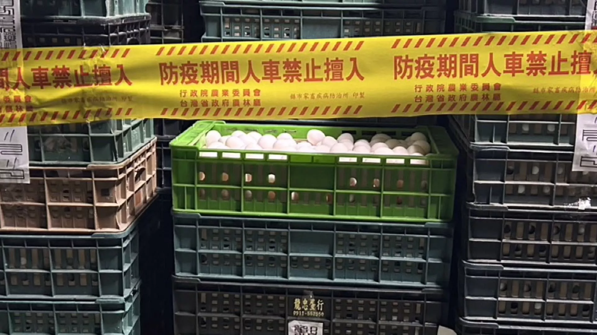 Tiếp tục phát hiện trứng "độc" tại trại chăn nuôi Chương Hóa