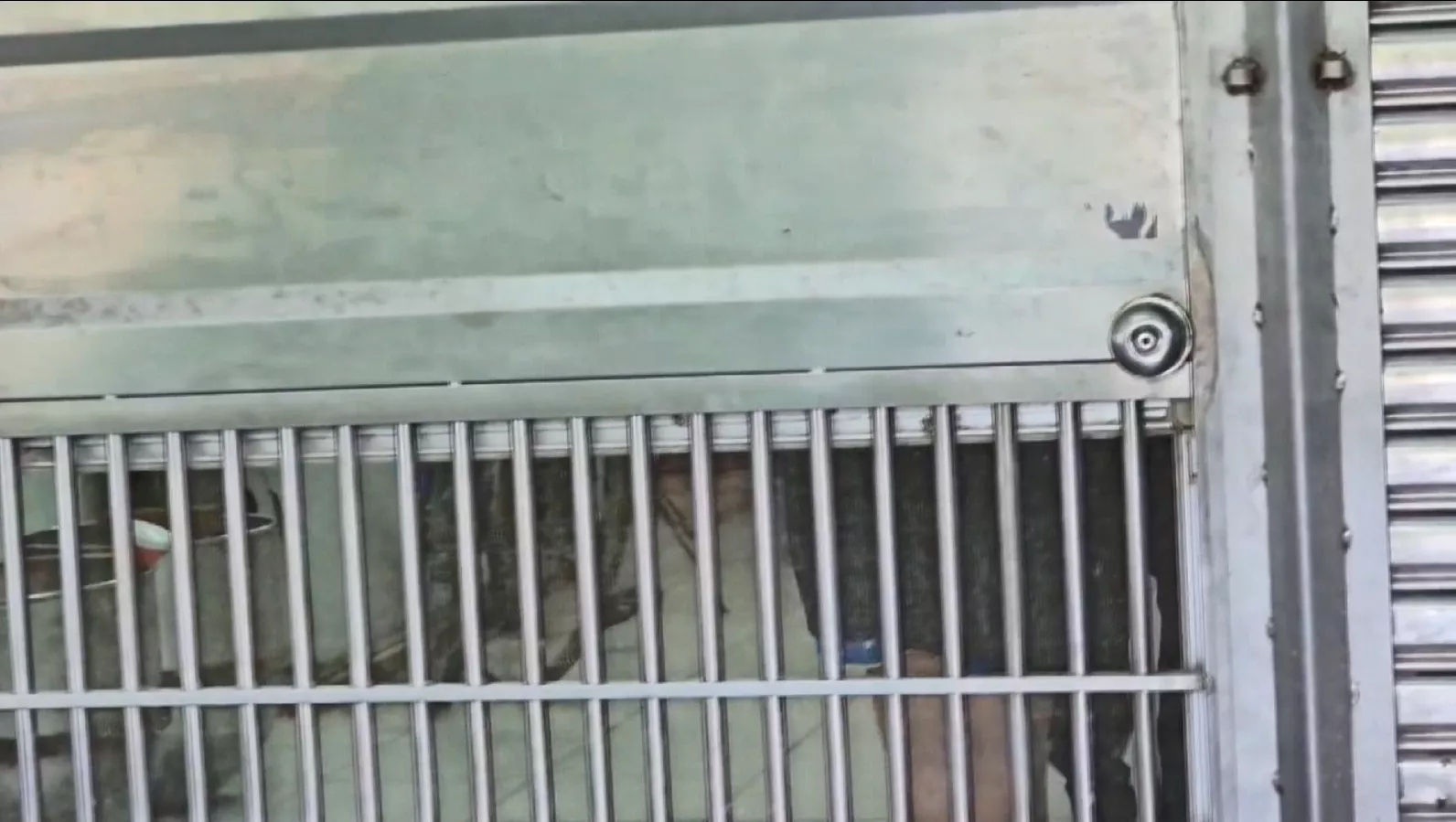 「鳳凰」致蘇澳獨居老人淹死 家屬不滿通報慢 