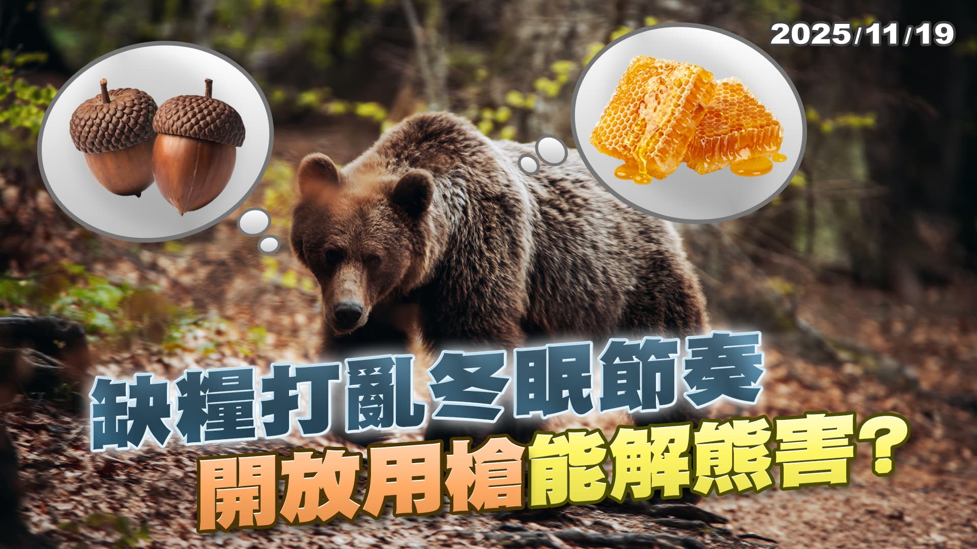 熊不冬眠了? 日本自衛隊警察齊出動 "開放用槍"真能解熊害?｜公共電視 - 尖鋒對話