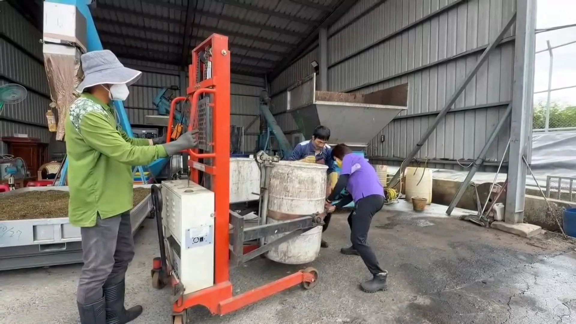 Từ 2027 nuôi lợn bằng thức ăn thừa sẽ bị cấm hoàn toàn