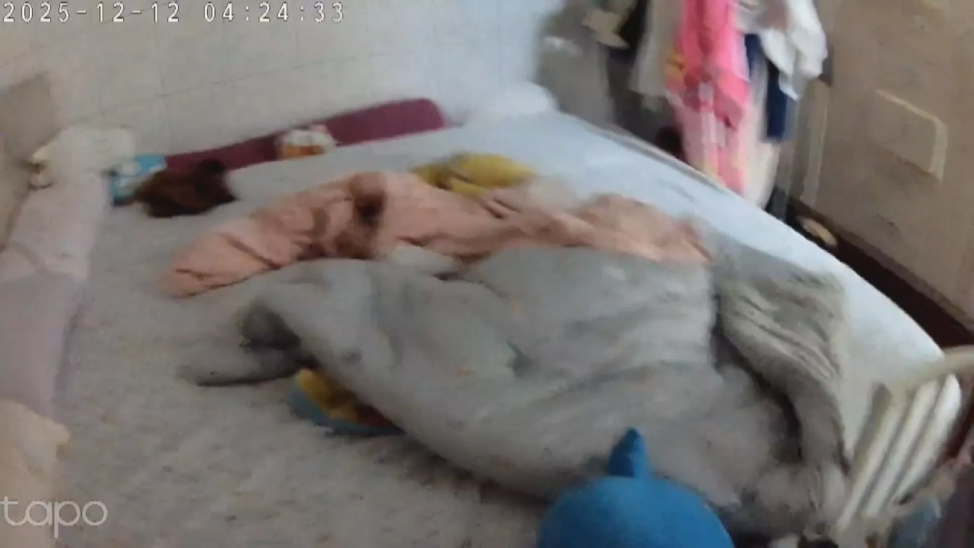 เขตเจี่ยเซียน เกาสง เขตหนานซี ไถหนาน กลางดึก-เช้าตรู่ แผ่นดินไหว 4 ครั้ง